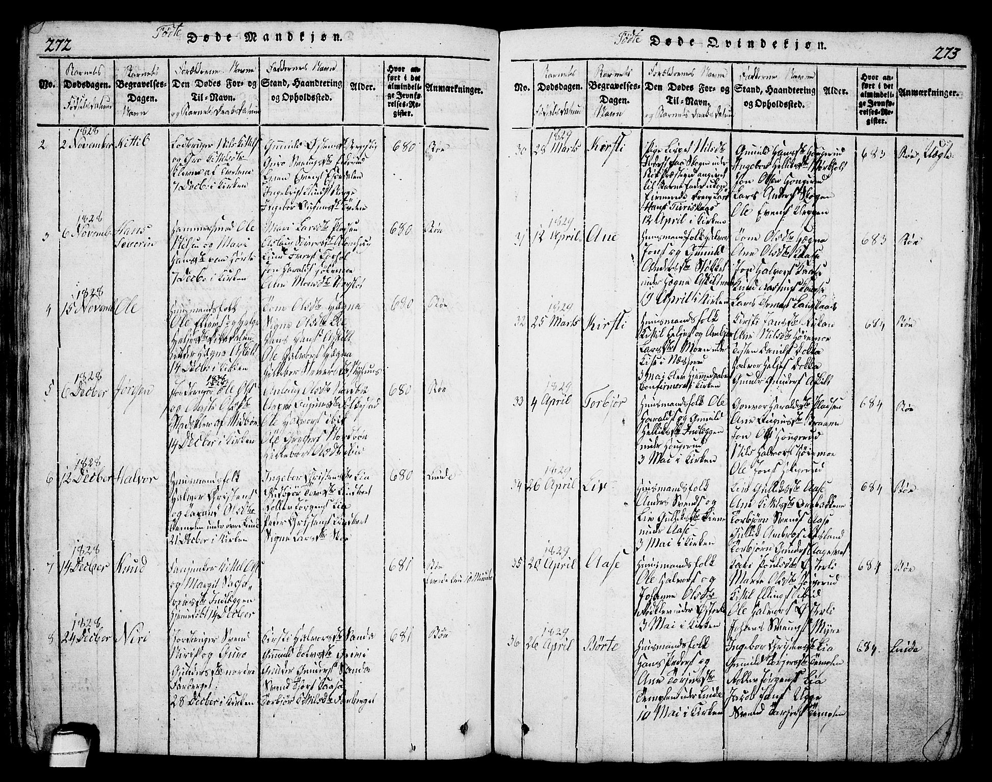 Bø kirkebøker, AV/SAKO-A-257/G/Ga/L0001: Parish register (copy) no. 1, 1815-1831, p. 272-273