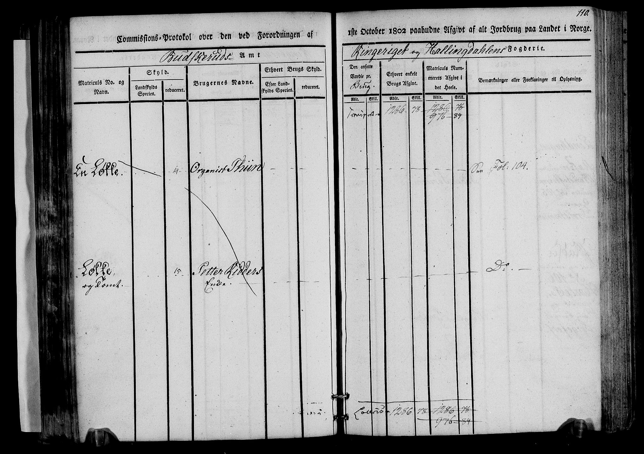 Rentekammeret inntil 1814, Realistisk ordnet avdeling, AV/RA-EA-4070/N/Ne/Nea/L0045: Ringerike og Hallingdal fogderi. Kommisjonsprotokoll for Norderhov prestegjeld, 1803, p. 113