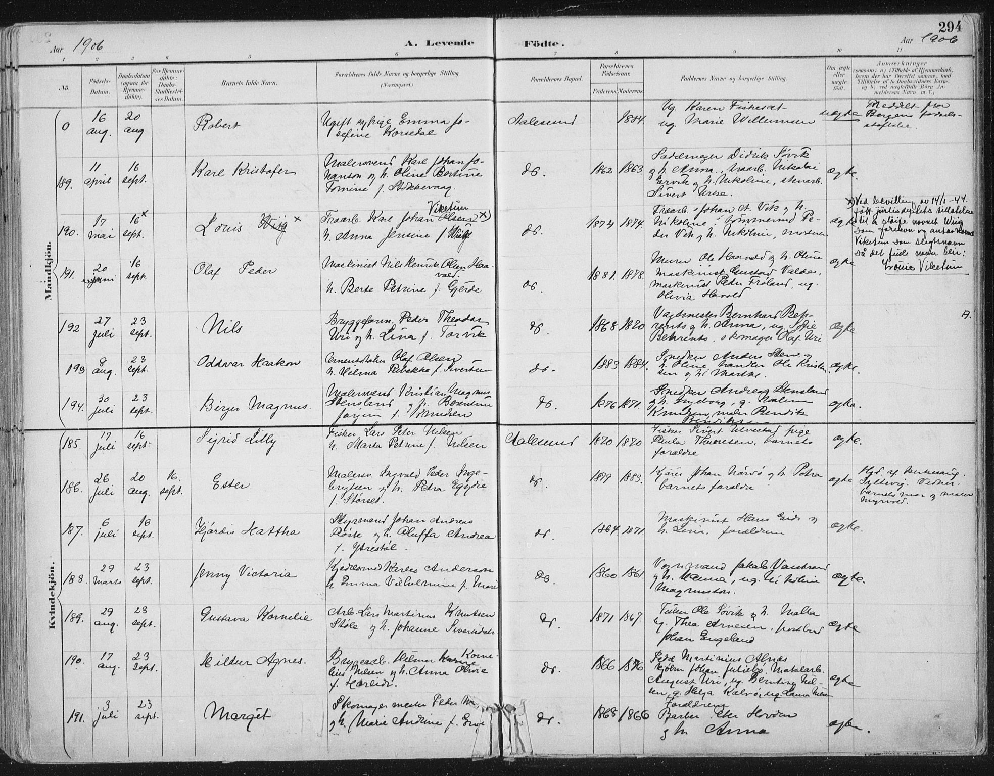 Ministerialprotokoller, klokkerbøker og fødselsregistre - Møre og Romsdal, AV/SAT-A-1454/529/L0456: Parish register (official) no. 529A06, 1894-1906, p. 294