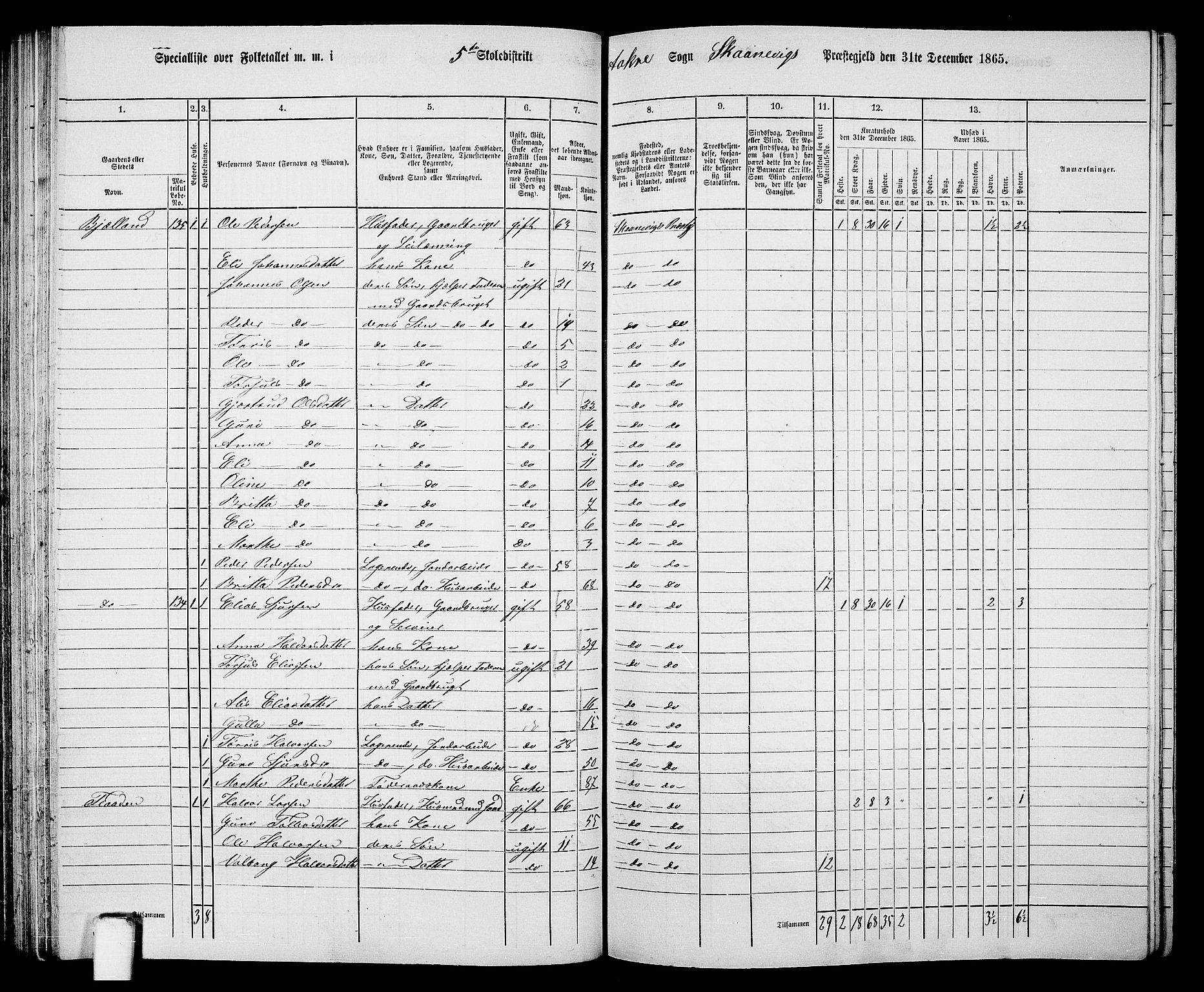 RA, 1865 census for Skånevik, 1865, p. 81