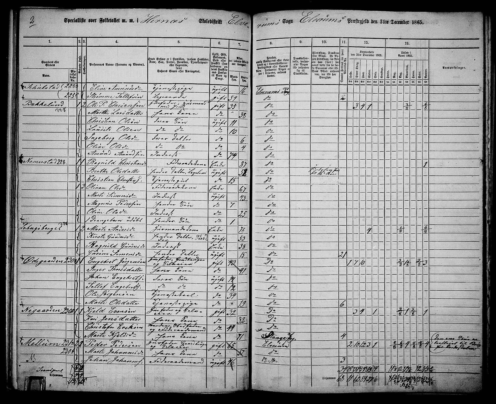 RA, 1865 census for Elverum, 1865, p. 155