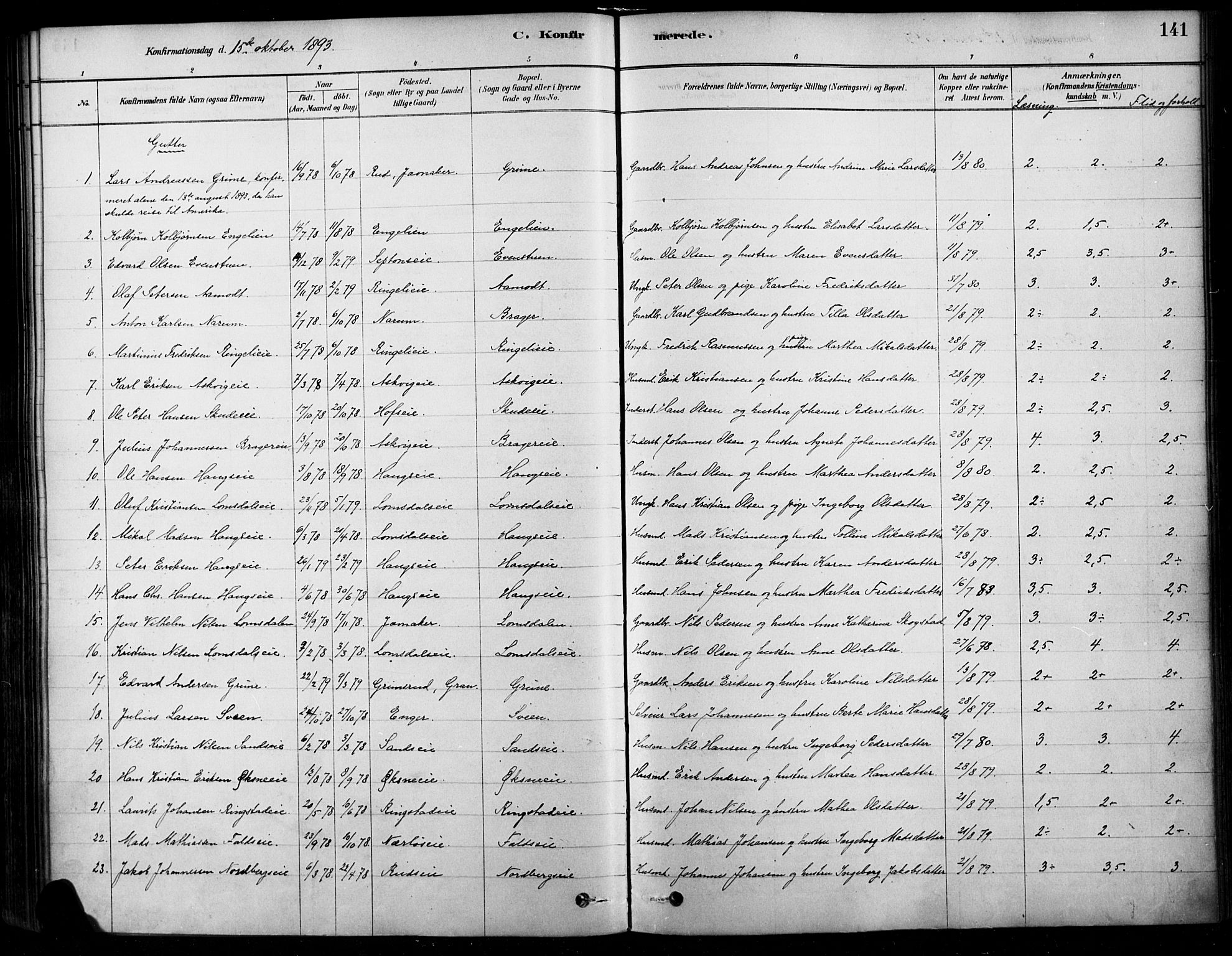 Søndre Land prestekontor, SAH/PREST-122/K/L0003: Parish register (official) no. 3, 1878-1894, p. 141