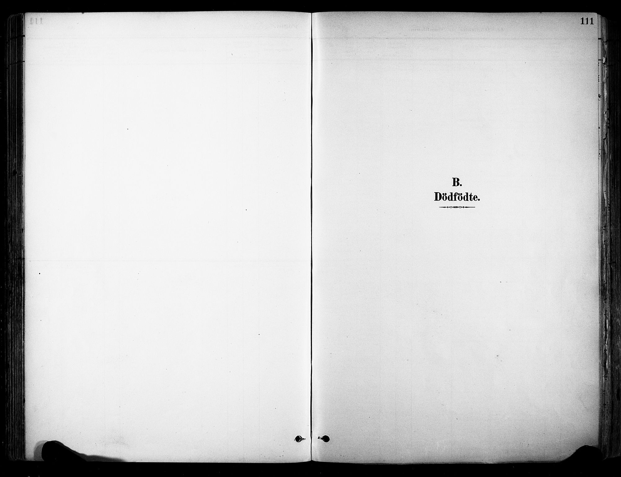 Stokke kirkebøker, AV/SAKO-A-320/F/Fa/L0010: Parish register (official) no. I 10, 1884-1903, p. 111