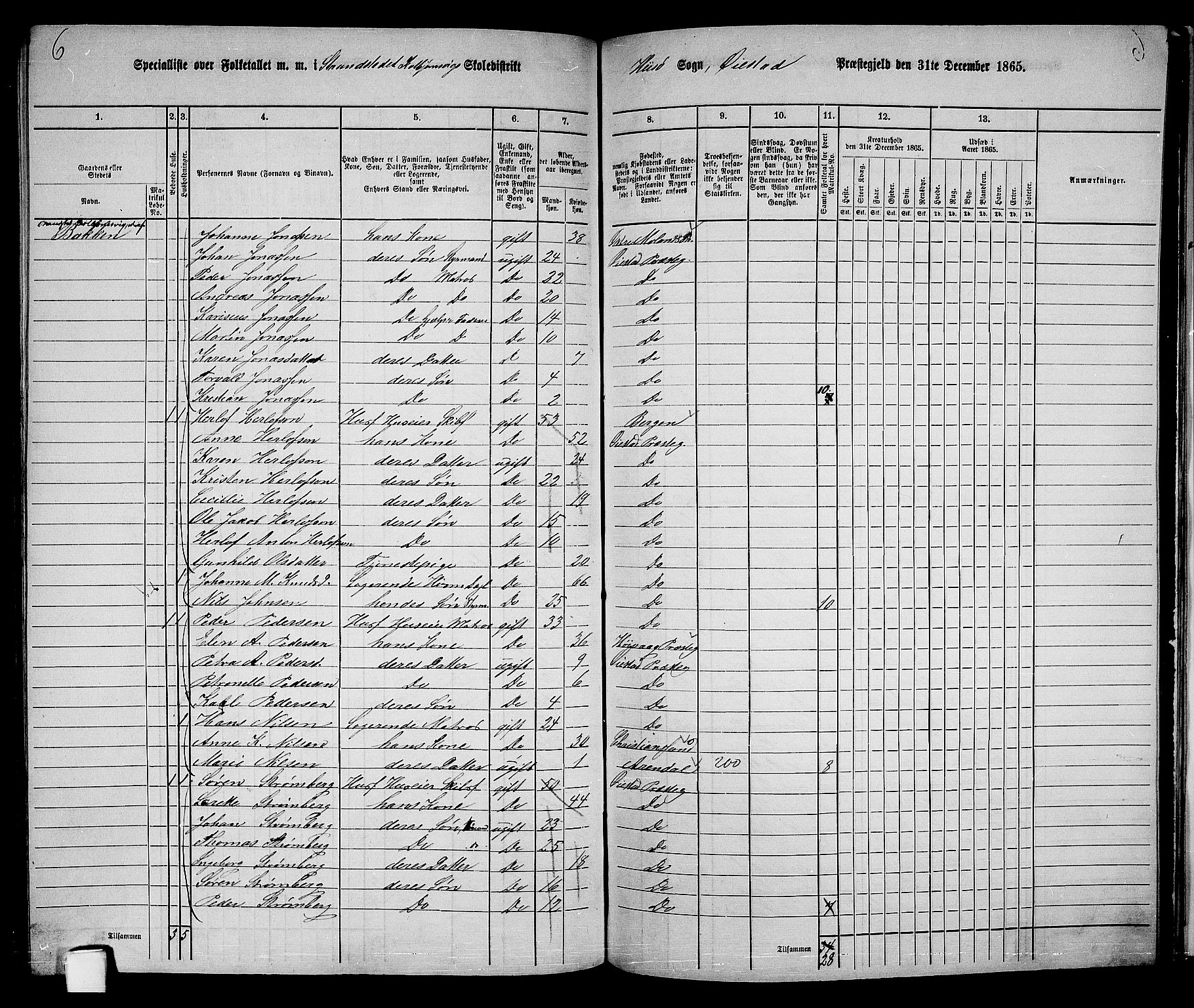 RA, 1865 census for Øyestad, 1865, p. 236