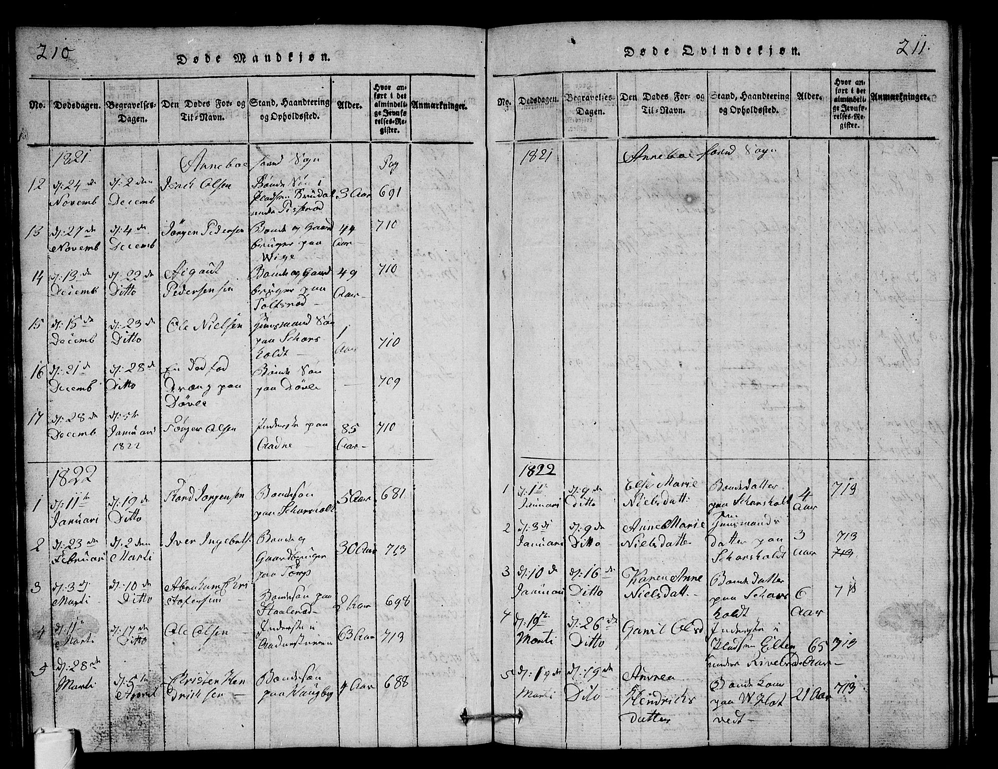 Andebu kirkebøker, AV/SAKO-A-336/G/Ga/L0001: Parish register (copy) no. I 1 /1, 1815-1823, p. 210-211