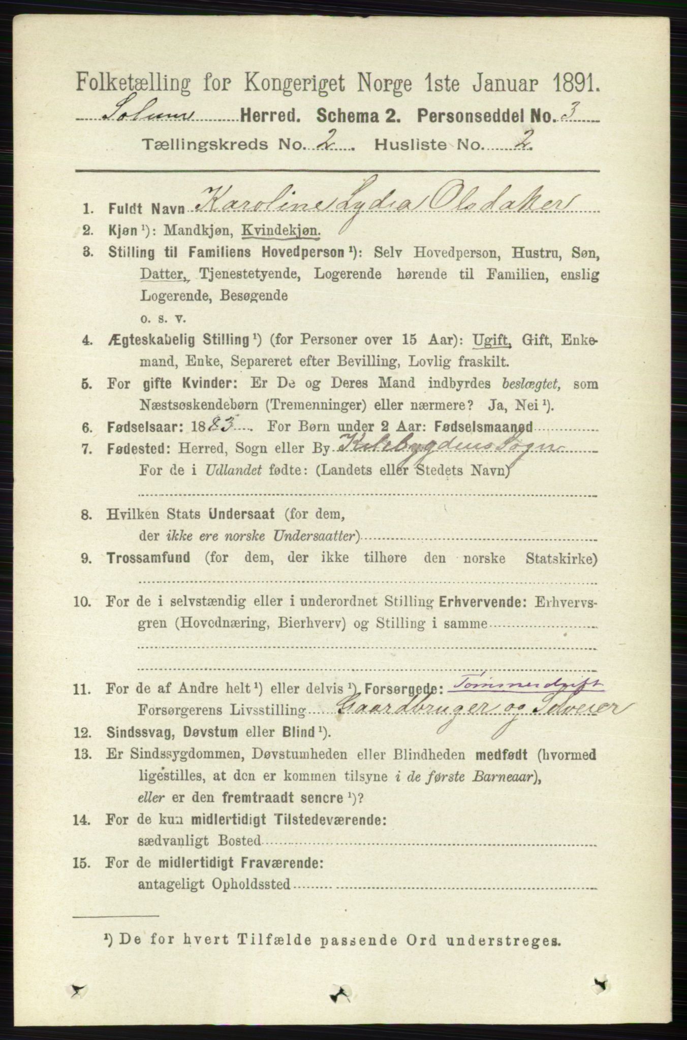 RA, 1891 census for 0818 Solum, 1891, p. 125