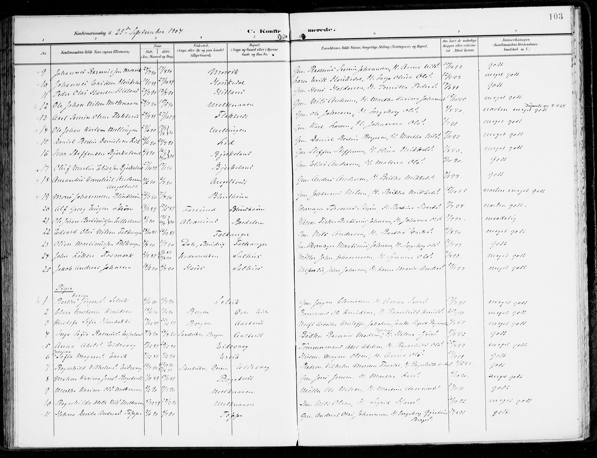 Hamre sokneprestembete, AV/SAB-A-75501/H/Ha/Haa/Haad/L0002: Parish register (official) no. D 2, 1899-1916, p. 103