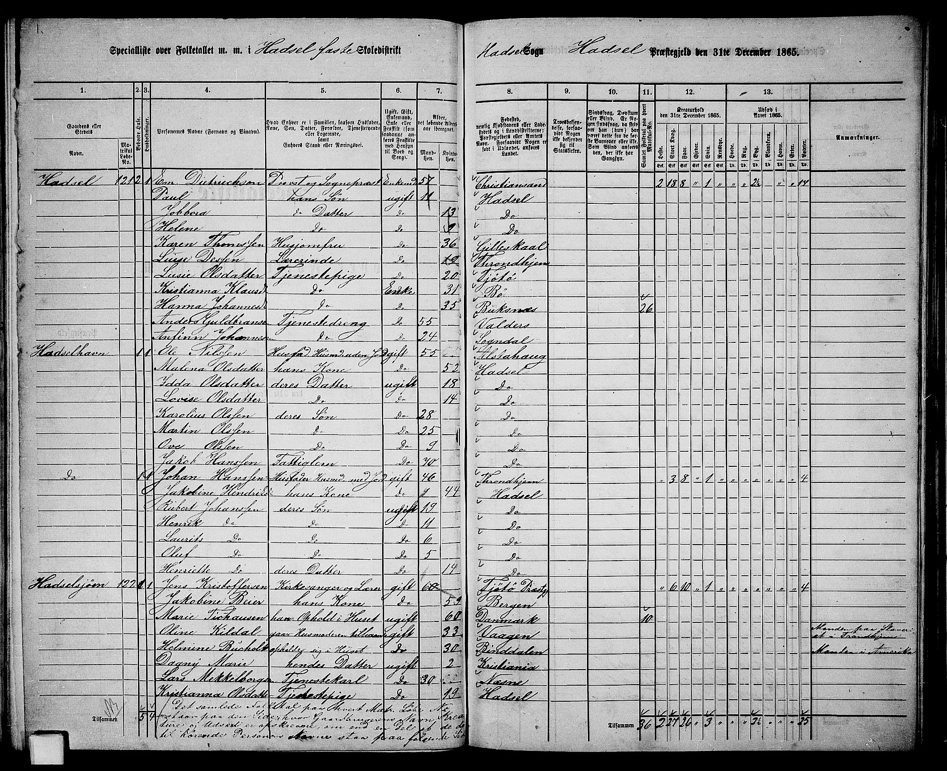 RA, 1865 census for Hadsel, 1865, p. 110