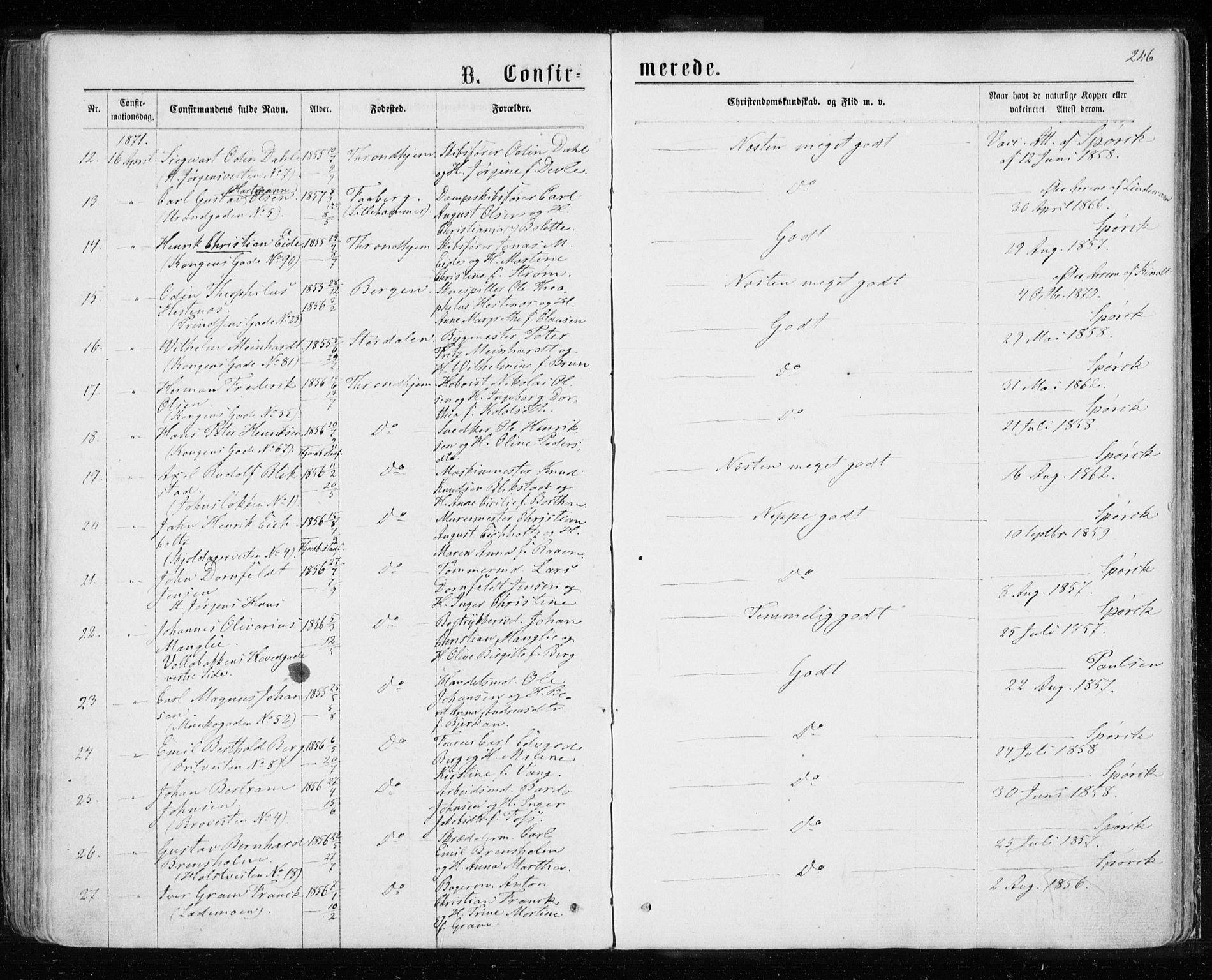 Ministerialprotokoller, klokkerbøker og fødselsregistre - Sør-Trøndelag, SAT/A-1456/601/L0054: Parish register (official) no. 601A22, 1866-1877, p. 246