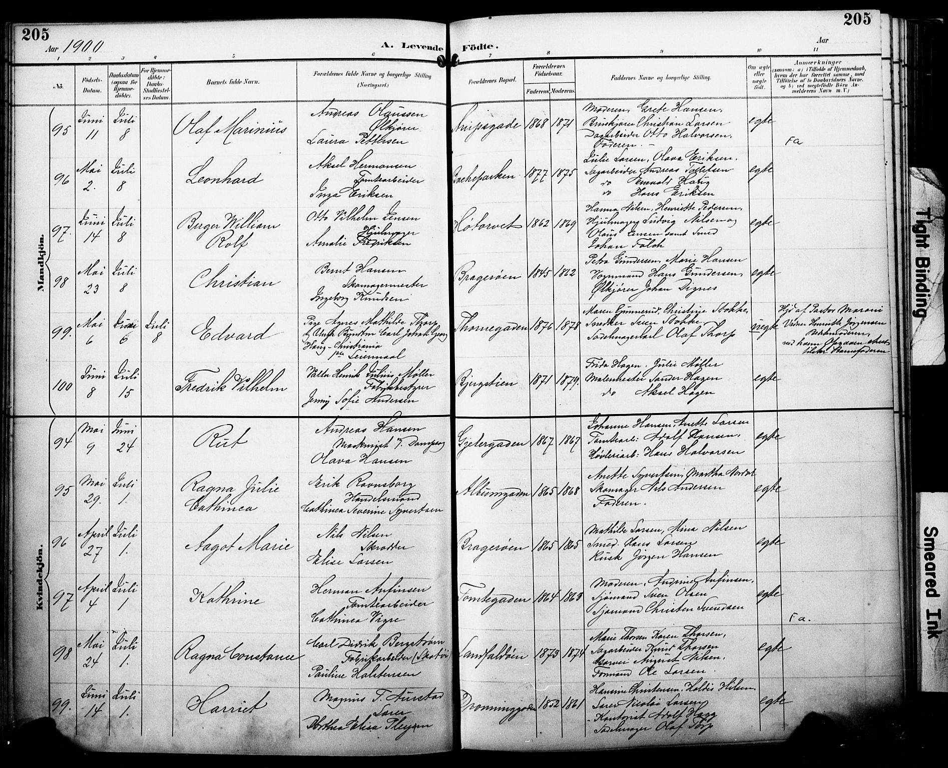 Bragernes kirkebøker, SAKO/A-6/F/Fb/L0008: Parish register (official) no. II 8, 1894-1902, p. 205
