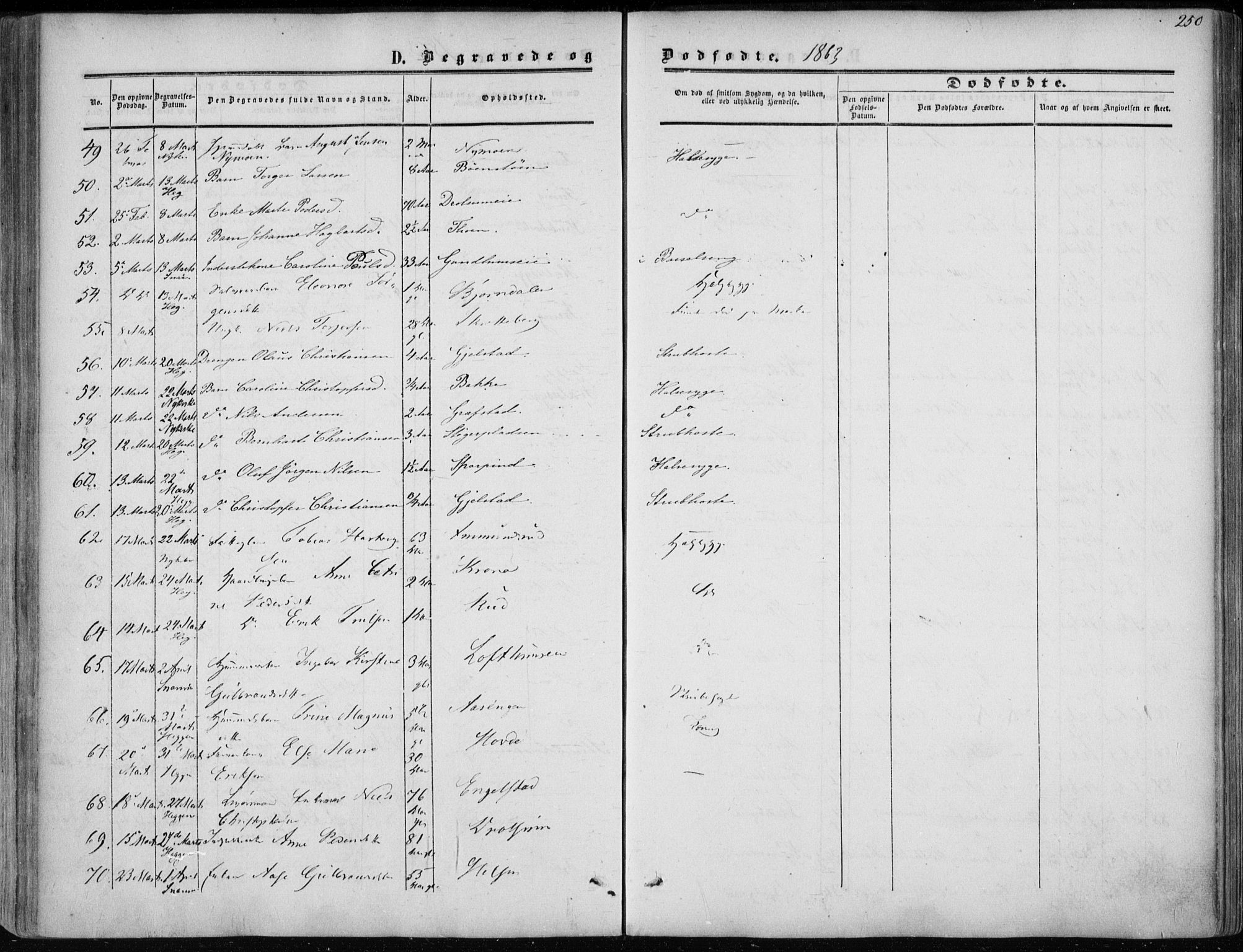 Modum kirkebøker, AV/SAKO-A-234/F/Fa/L0009: Parish register (official) no. 9, 1860-1864, p. 250