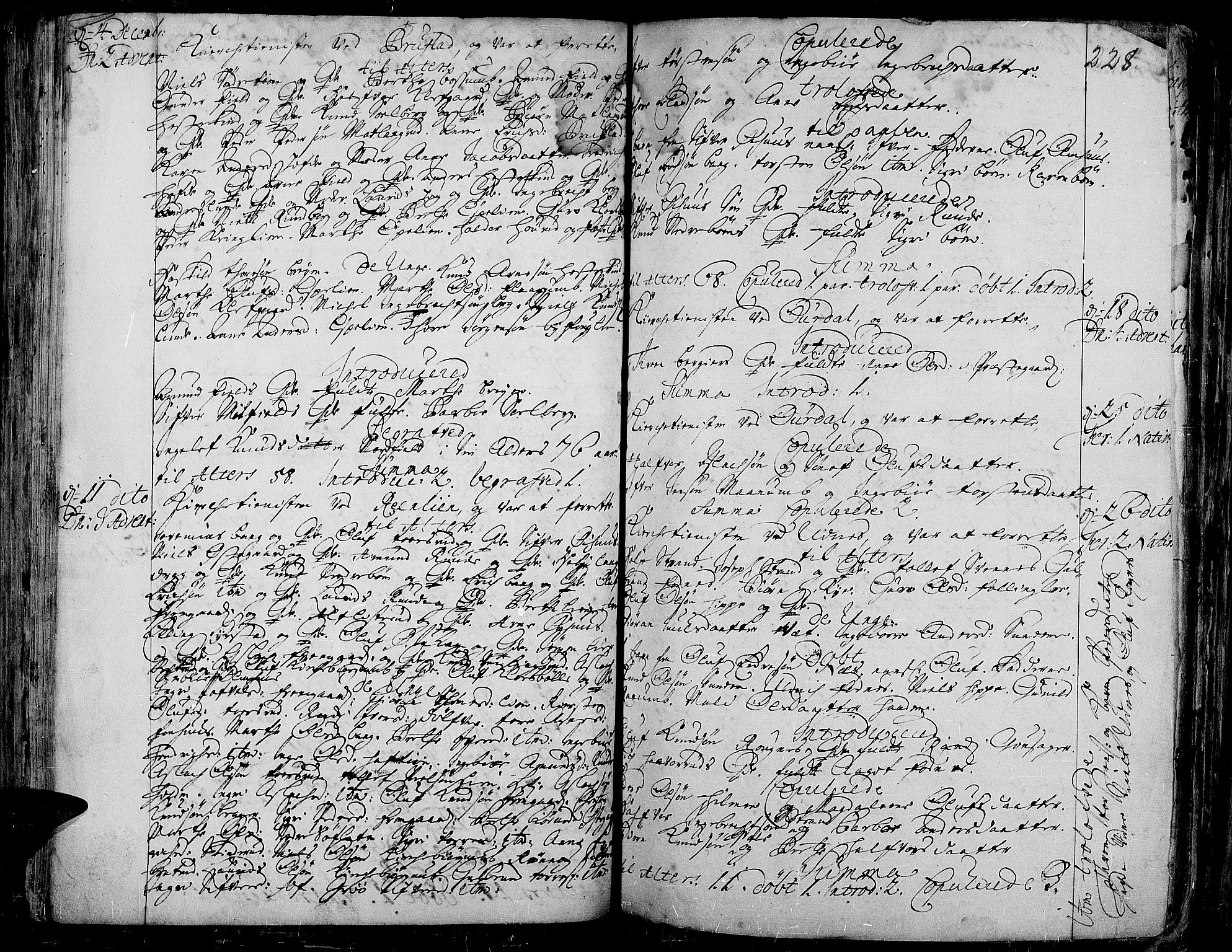 Aurdal prestekontor, SAH/PREST-126/H/Ha/Haa/L0001: Parish register (official) no. 1-3, 1692-1730, p. 228