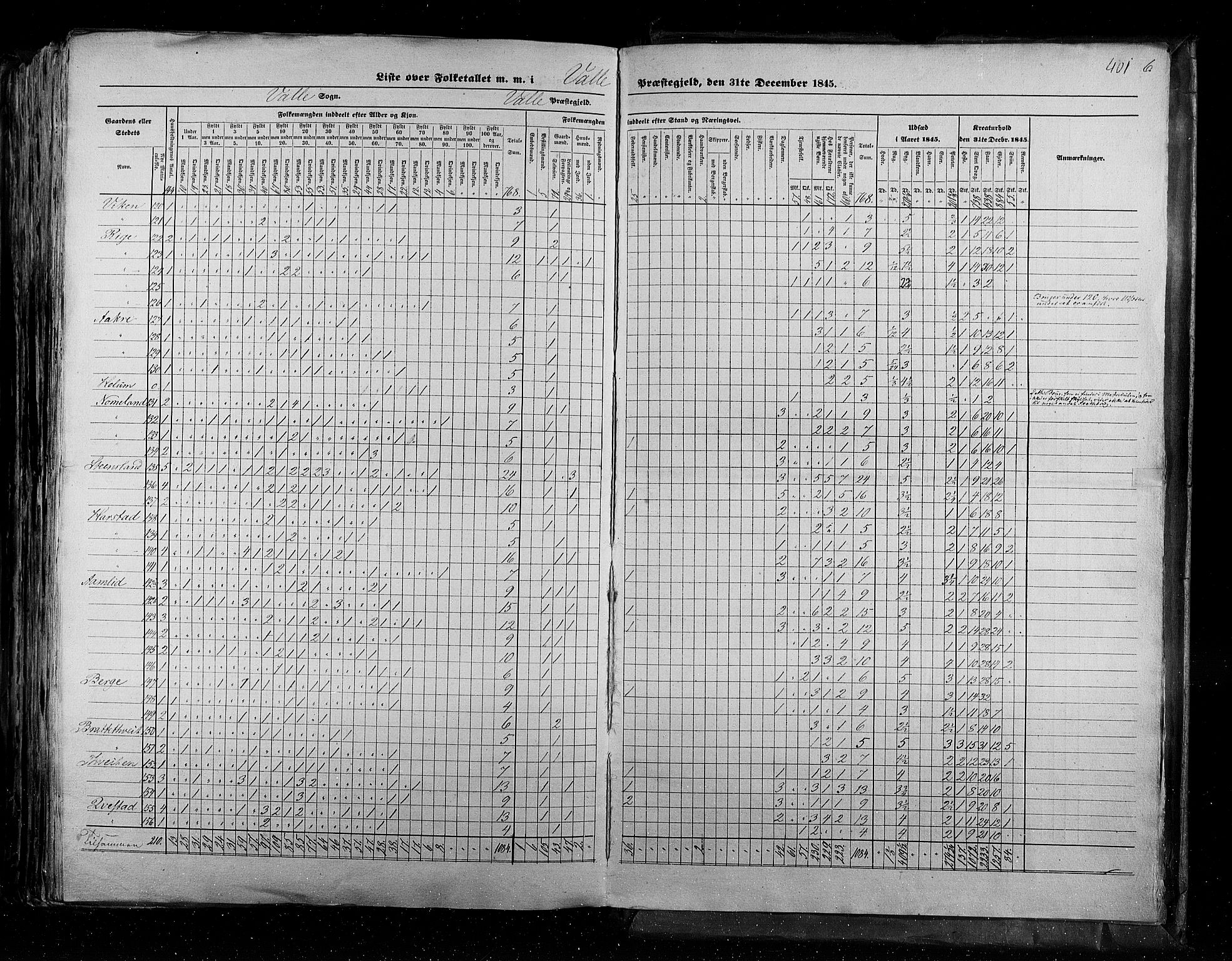 RA, Census 1845, vol. 5: Bratsberg amt og Nedenes og Råbyggelaget amt, 1845, p. 401