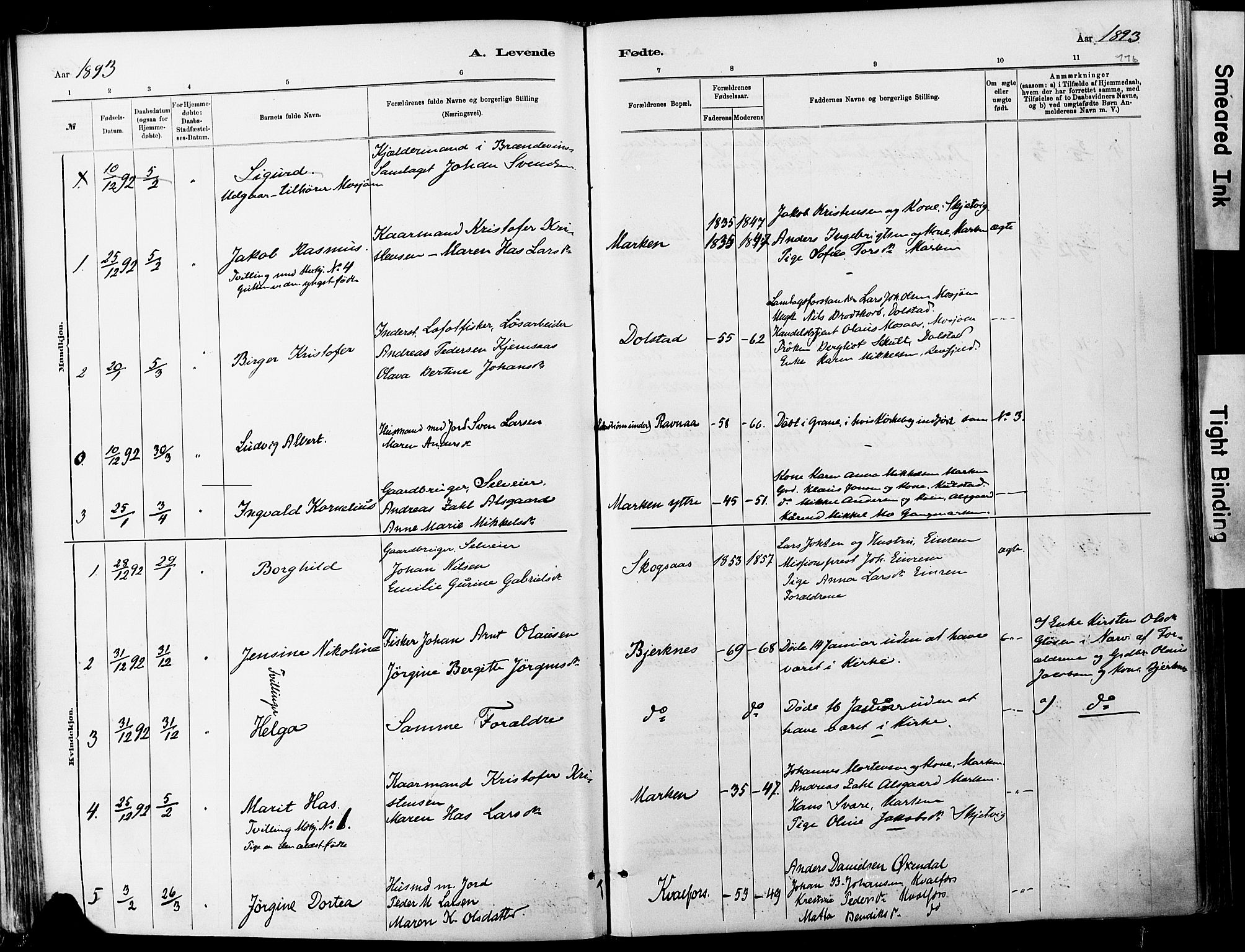 Ministerialprotokoller, klokkerbøker og fødselsregistre - Nordland, SAT/A-1459/820/L0295: Parish register (official) no. 820A16, 1880-1896, p. 116