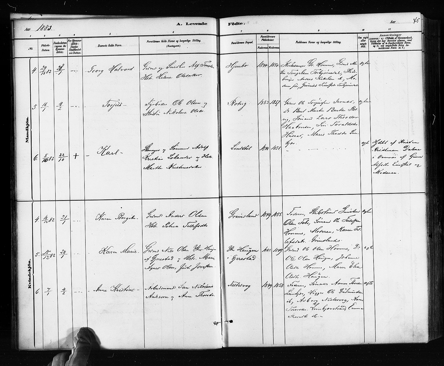 Søndeled sokneprestkontor, AV/SAK-1111-0038/F/Fa/L0004: Parish register (official) no. A 4, 1880-1889, p. 45