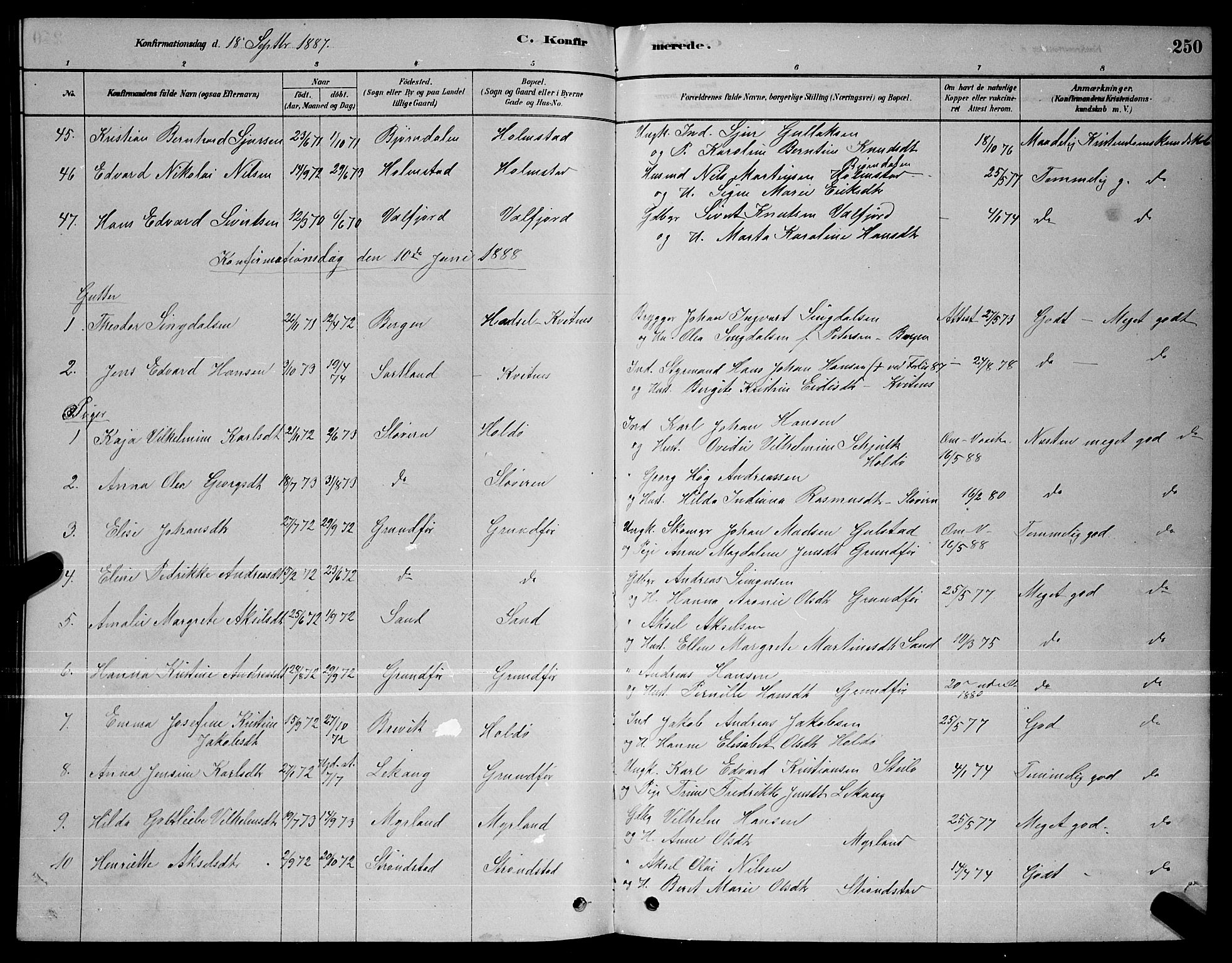 Ministerialprotokoller, klokkerbøker og fødselsregistre - Nordland, AV/SAT-A-1459/888/L1267: Parish register (copy) no. 888C05, 1878-1890, p. 250