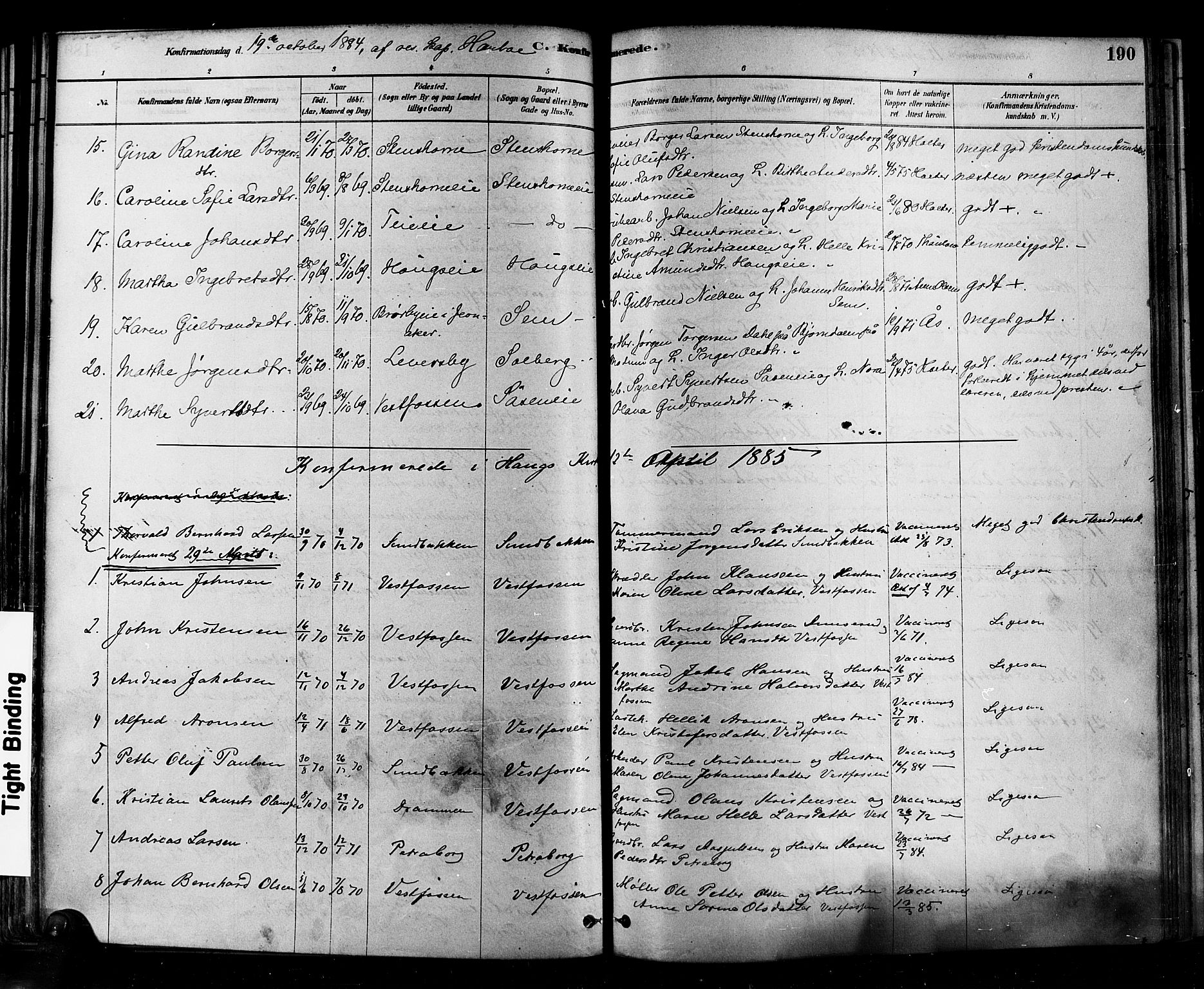 Eiker kirkebøker, SAKO/A-4/F/Fb/L0001: Parish register (official) no. II 1, 1878-1888, p. 190