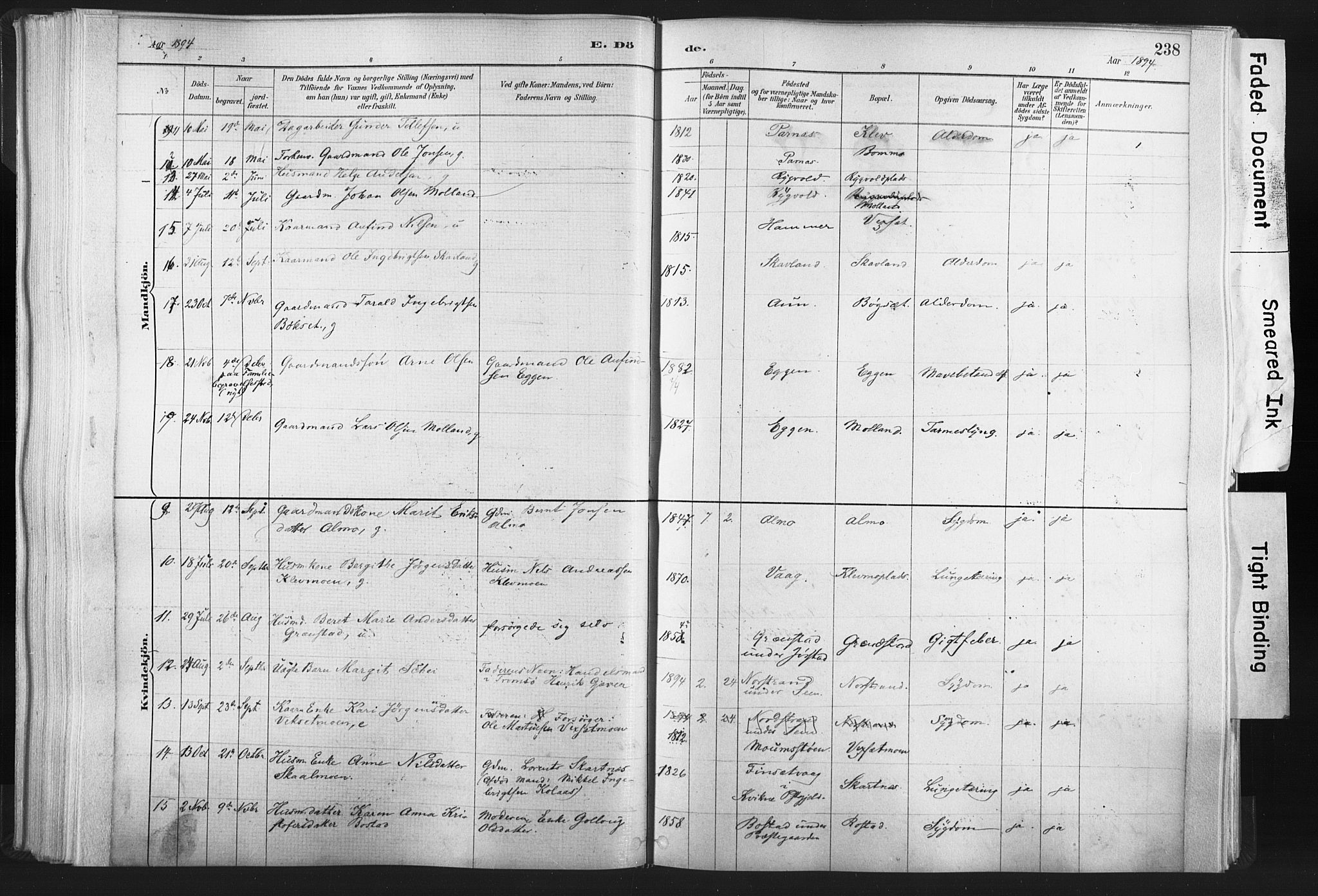 Ministerialprotokoller, klokkerbøker og fødselsregistre - Nord-Trøndelag, AV/SAT-A-1458/749/L0474: Parish register (official) no. 749A08, 1887-1903, p. 238