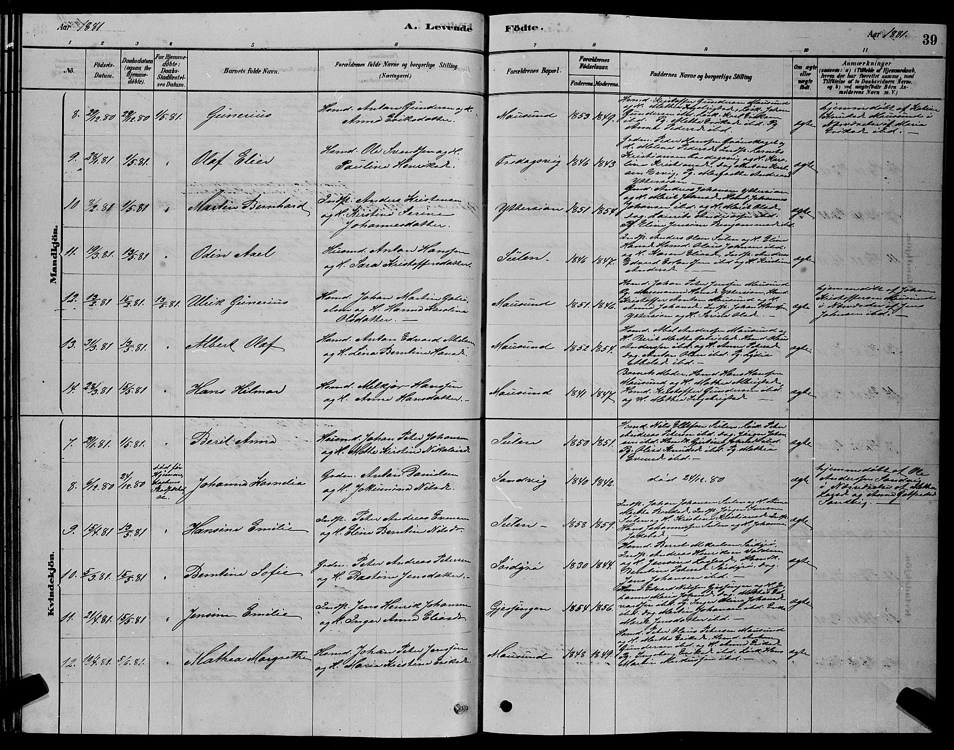 Ministerialprotokoller, klokkerbøker og fødselsregistre - Sør-Trøndelag, SAT/A-1456/640/L0585: Parish register (copy) no. 640C03, 1878-1891, p. 39