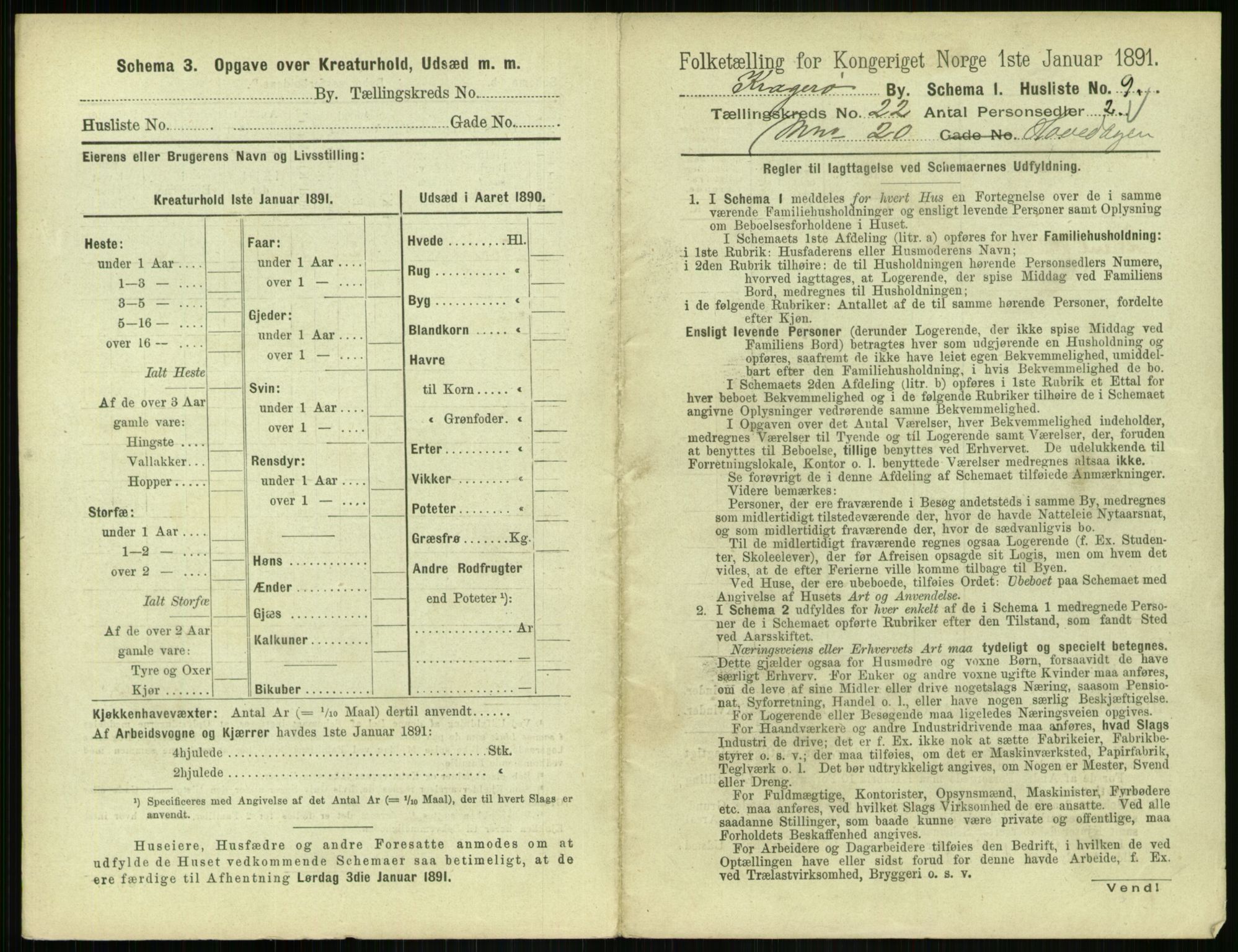 RA, 1891 census for 0801 Kragerø, 1891, p. 876