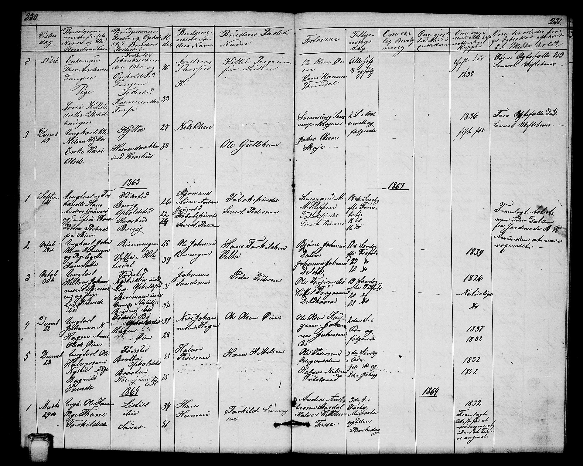 Hjartdal kirkebøker, SAKO/A-270/G/Gb/L0002: Parish register (copy) no. II 2, 1854-1884, p. 230-231