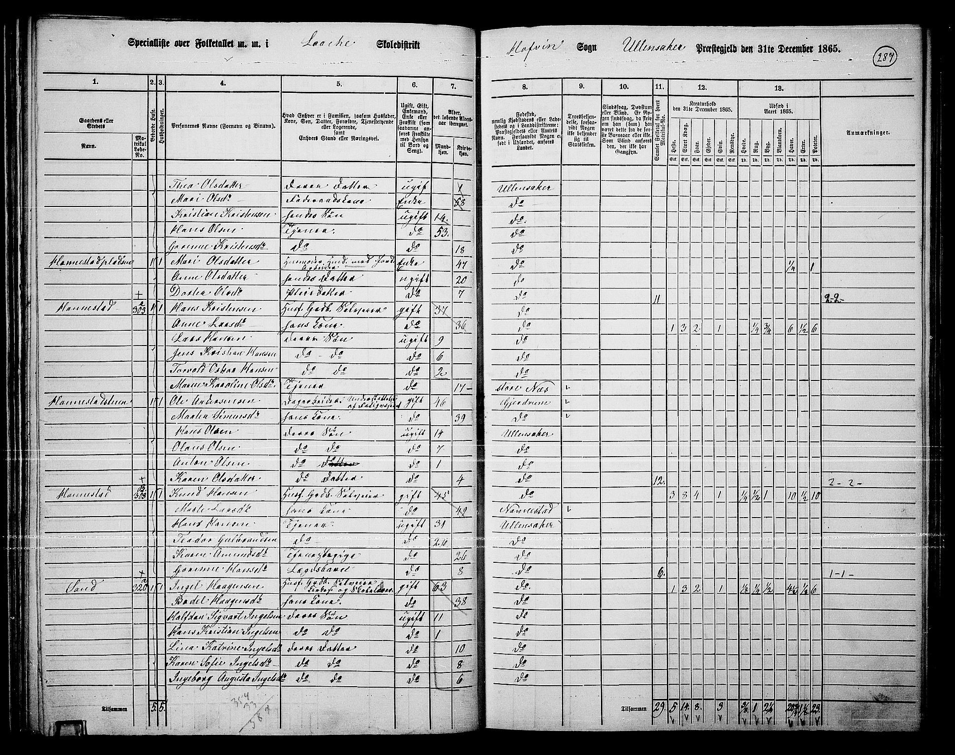 RA, 1865 census for Ullensaker, 1865, p. 253