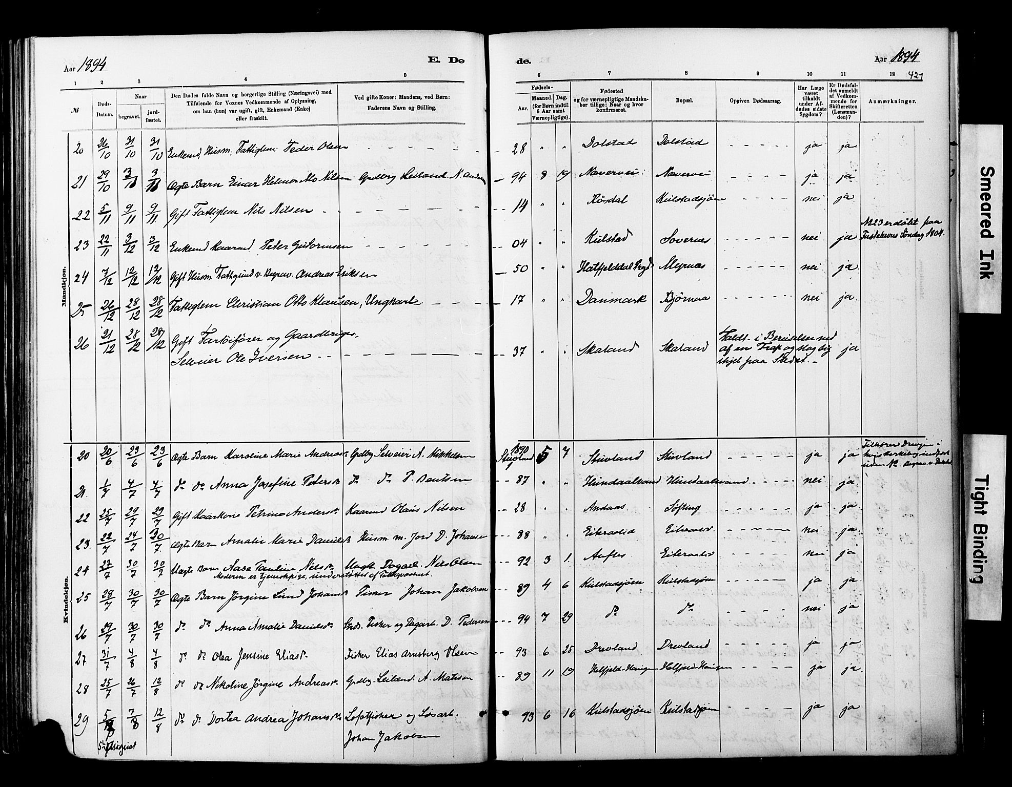 Ministerialprotokoller, klokkerbøker og fødselsregistre - Nordland, AV/SAT-A-1459/820/L0295: Parish register (official) no. 820A16, 1880-1896, p. 421