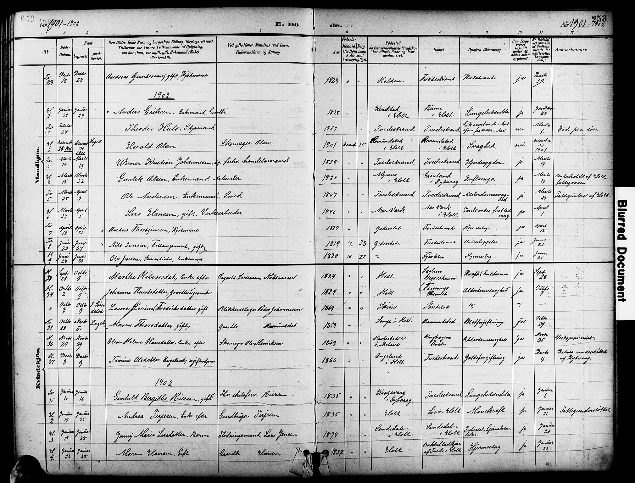Holt sokneprestkontor, SAK/1111-0021/F/Fb/L0011: Parish register (copy) no. B 11, 1897-1921, p. 253