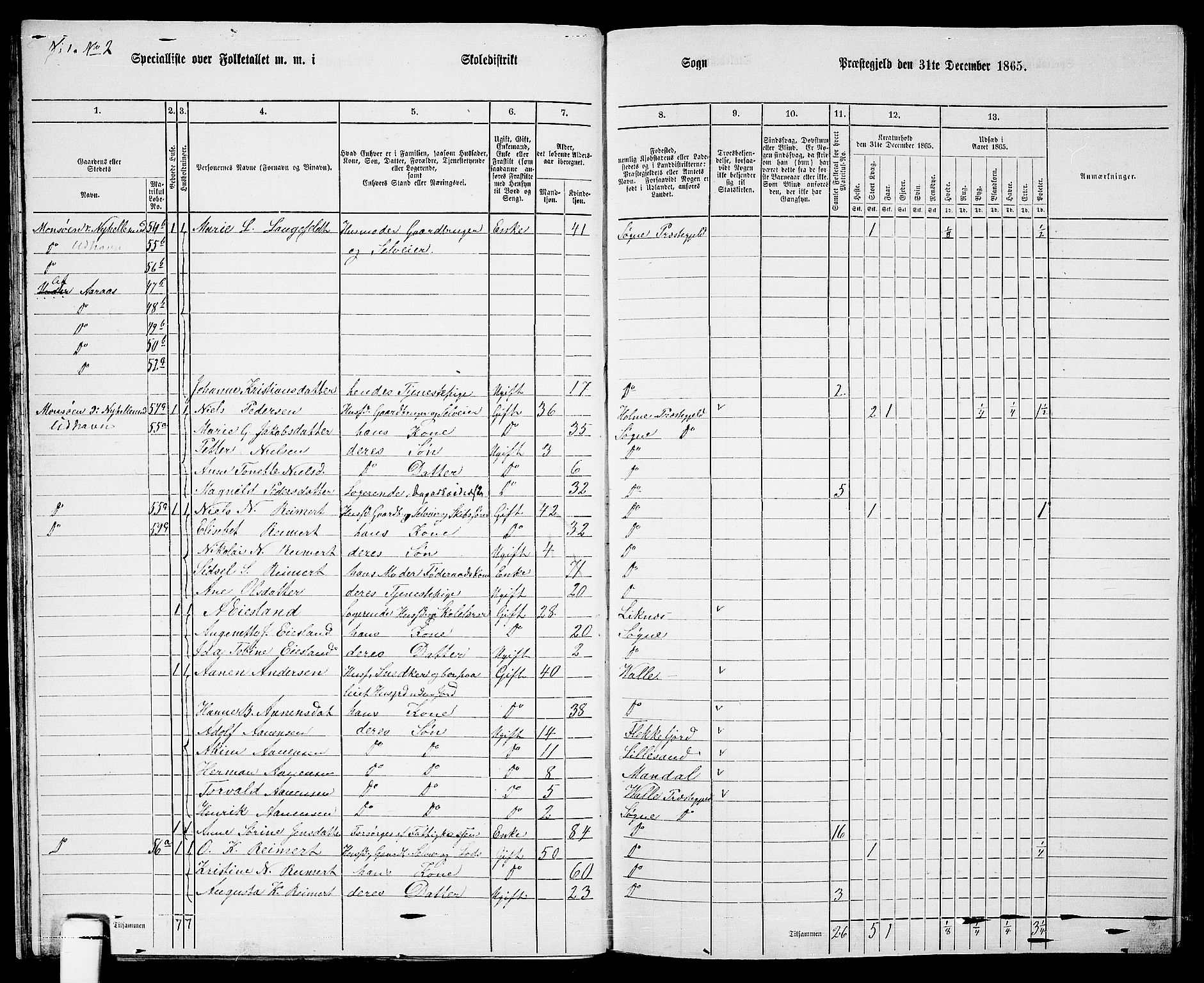 RA, 1865 census for Søgne, 1865, p. 38