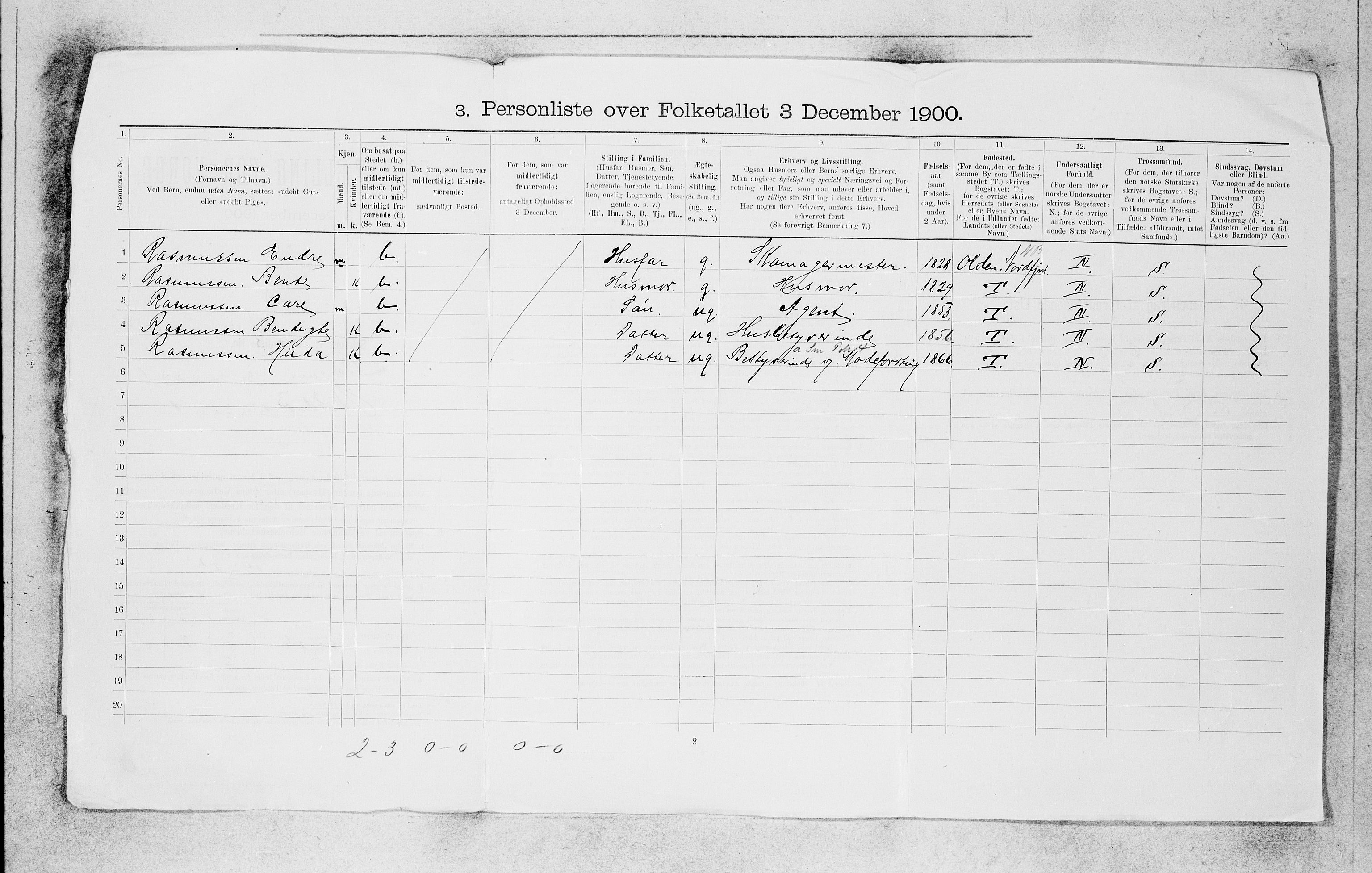 SAB, 1900 census for Bergen, 1900, p. 311