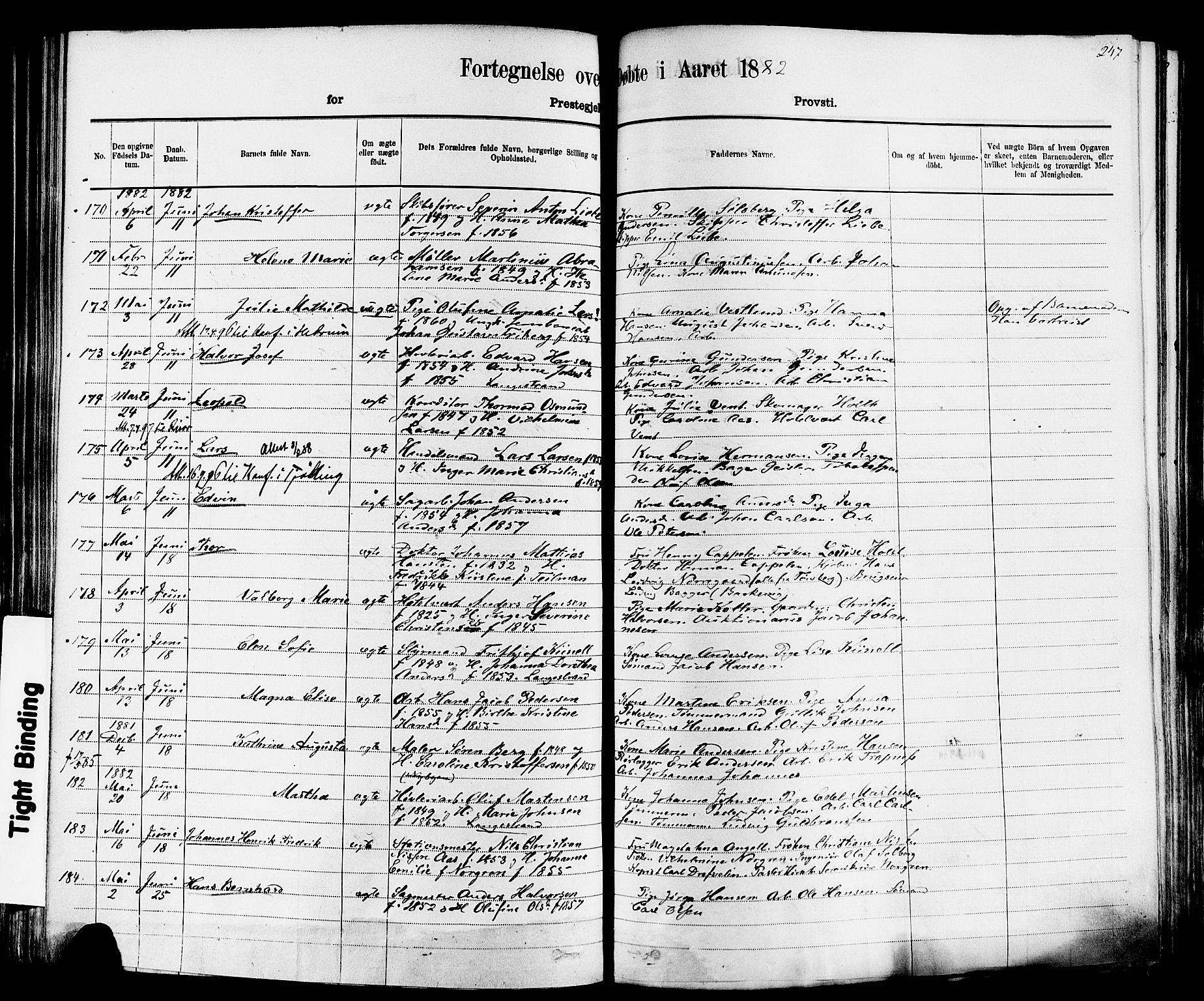 Larvik kirkebøker, AV/SAKO-A-352/F/Fa/L0006: Parish register (official) no. I 6, 1871-1883, p. 247