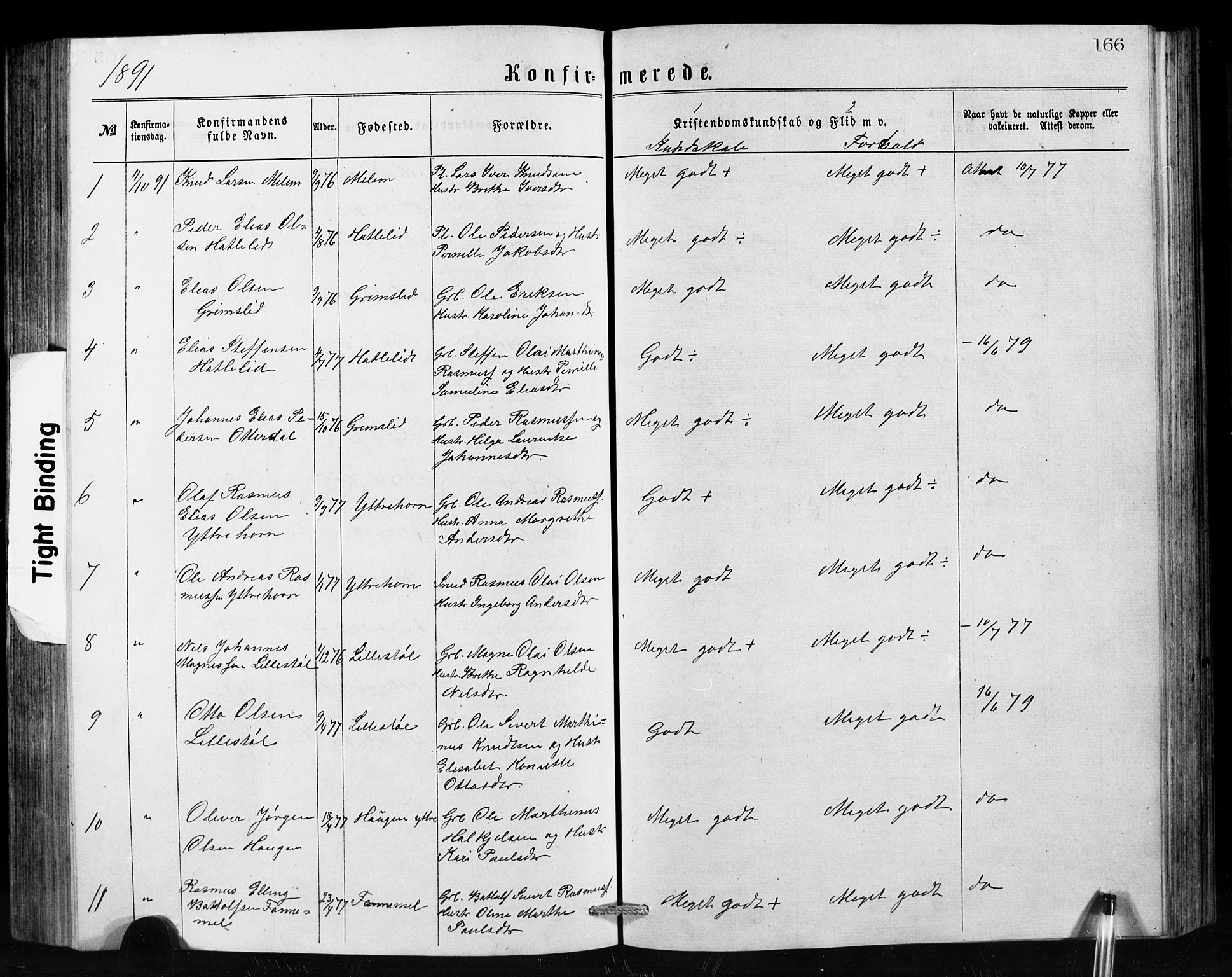 Hornindal sokneprestembete, SAB/A-82401/H/Hab: Parish register (copy) no. A 1, 1876-1894, p. 166