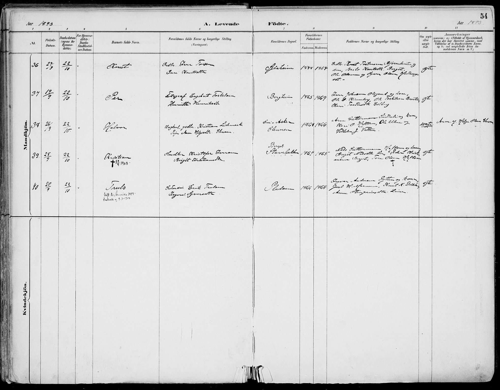 Gol kirkebøker, AV/SAKO-A-226/F/Fa/L0005: Parish register (official) no. I 5, 1887-1900, p. 54