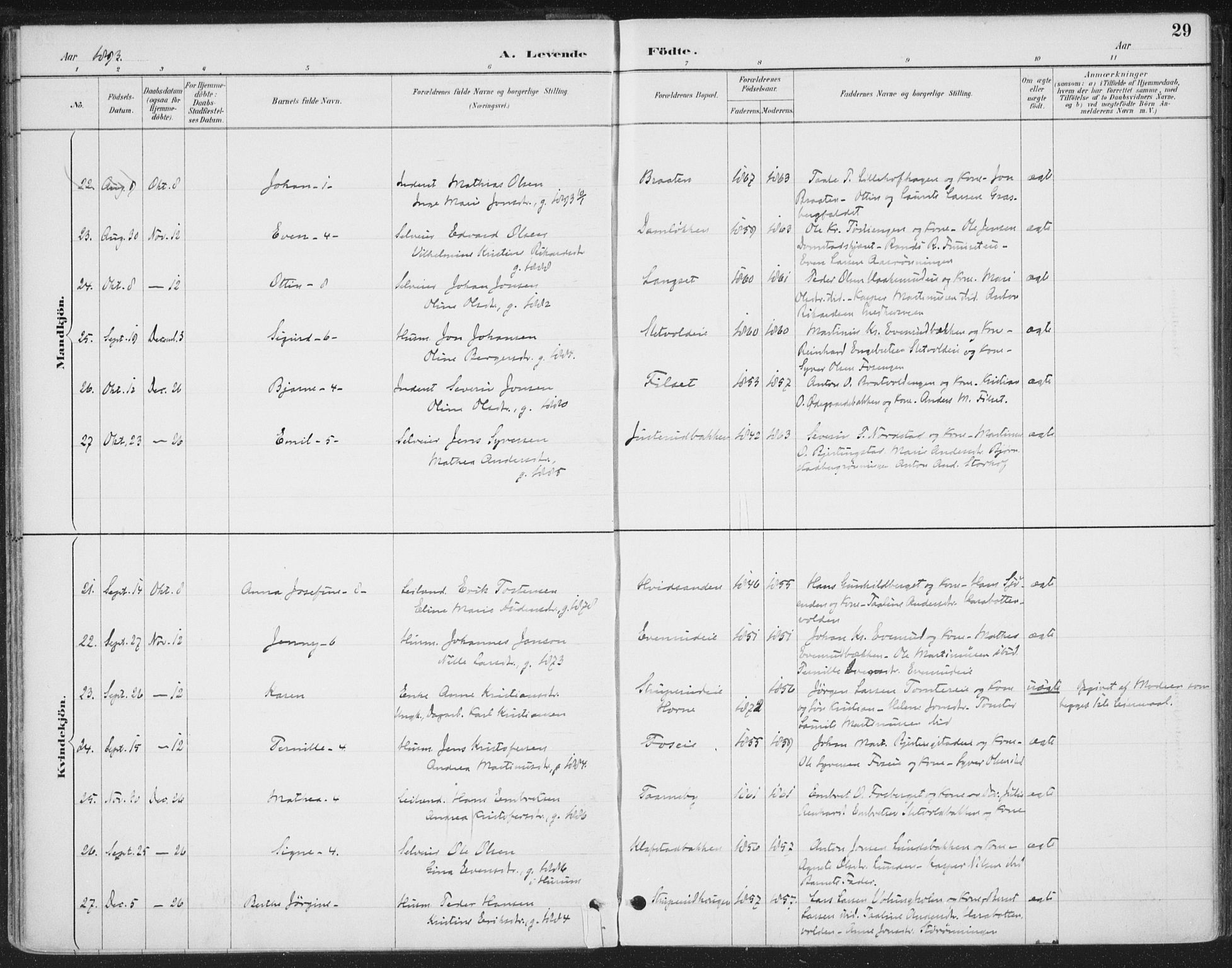 Romedal prestekontor, SAH/PREST-004/K/L0008: Parish register (official) no. 8, 1887-1905, p. 29