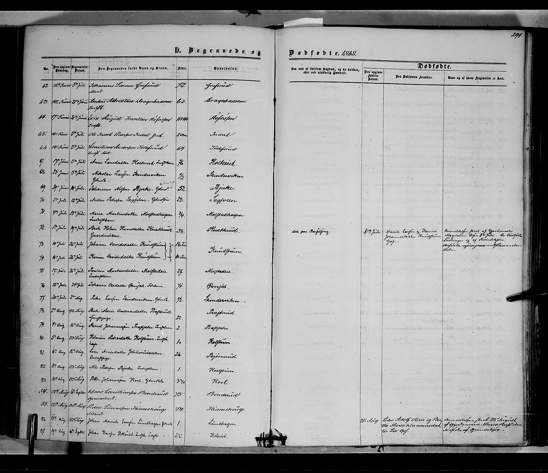 Vestre Toten prestekontor, AV/SAH-PREST-108/H/Ha/Haa/L0007: Parish register (official) no. 7, 1862-1869, p. 294