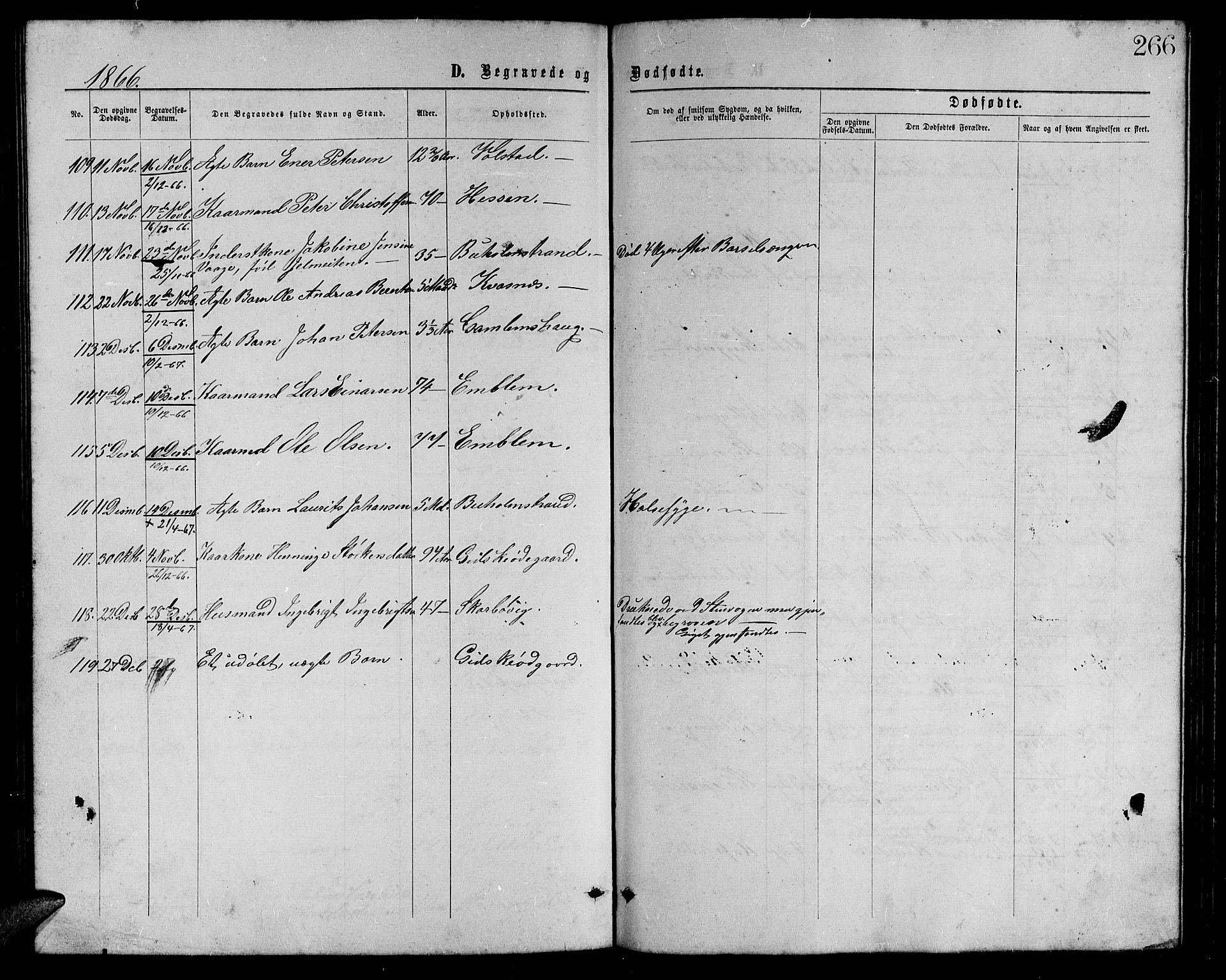 Ministerialprotokoller, klokkerbøker og fødselsregistre - Møre og Romsdal, AV/SAT-A-1454/528/L0428: Parish register (copy) no. 528C09, 1864-1880, p. 266