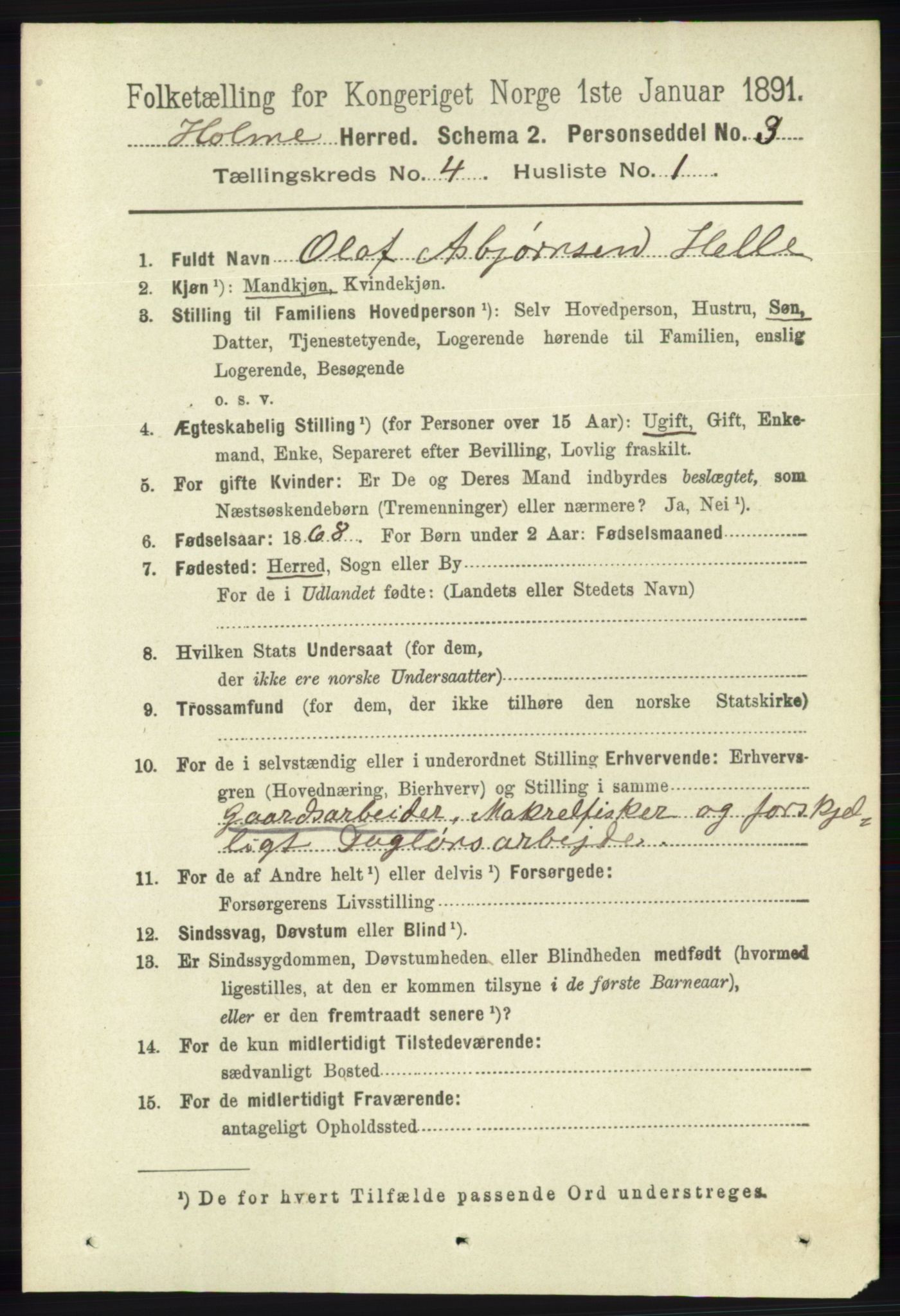 RA, 1891 census for 1020 Holum, 1891, p. 1036