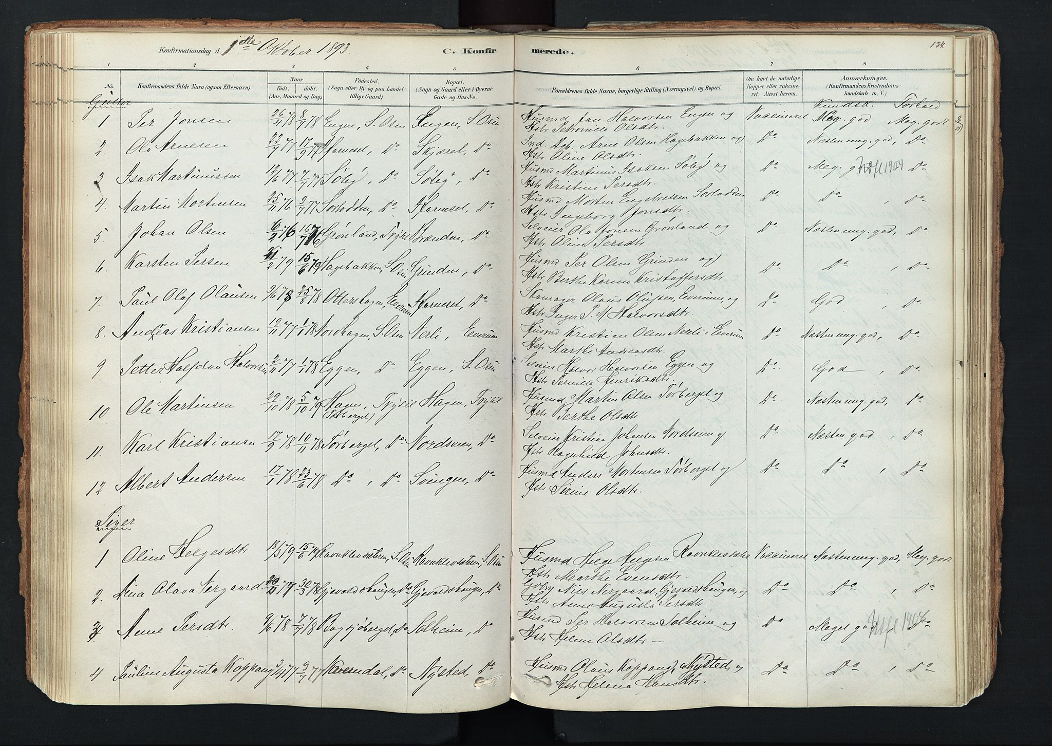 Trysil prestekontor, AV/SAH-PREST-046/H/Ha/Haa/L0011: Parish register (official) no. 11, 1878-1912, p. 134