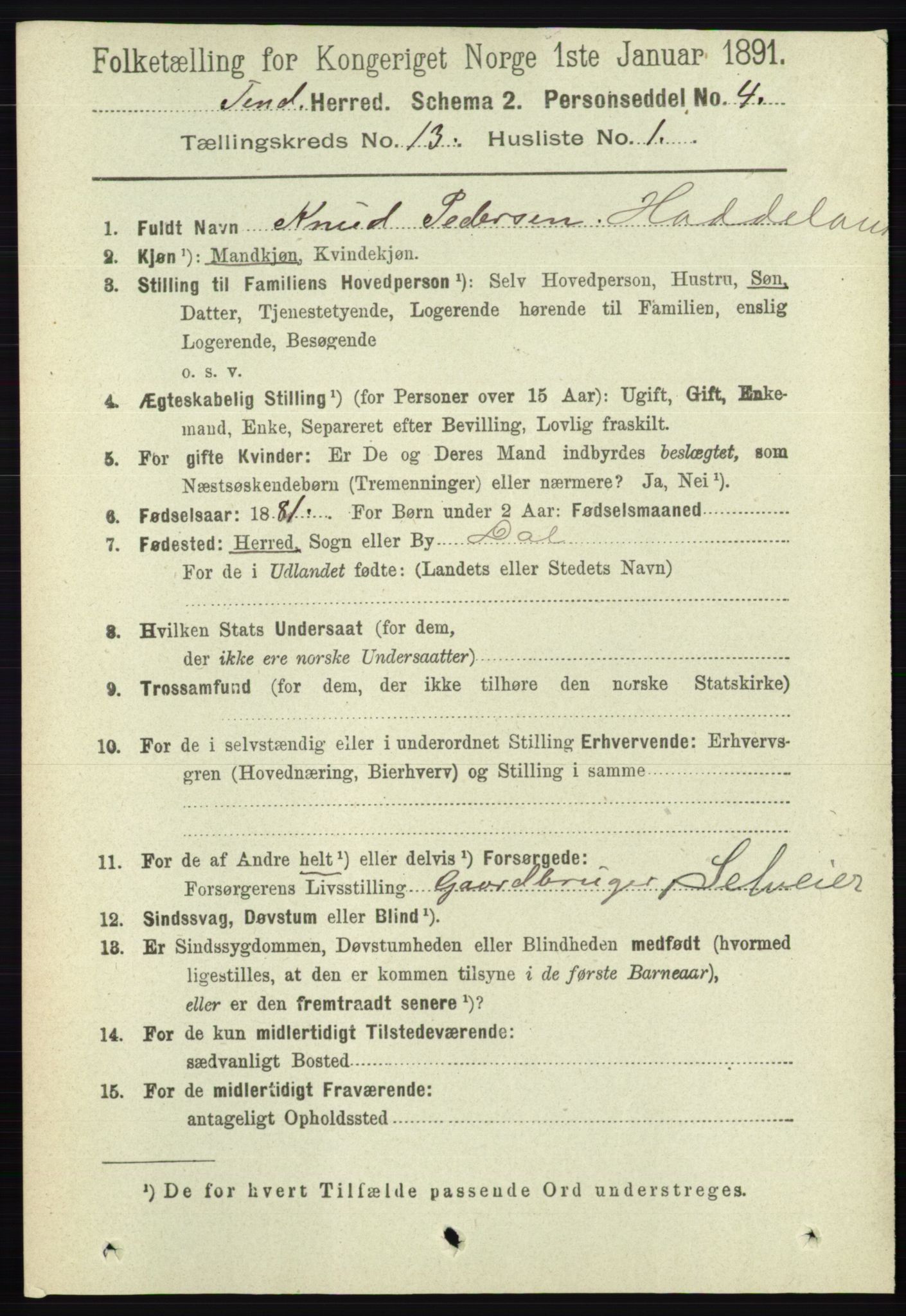 RA, 1891 census for 0826 Tinn, 1891, p. 2663