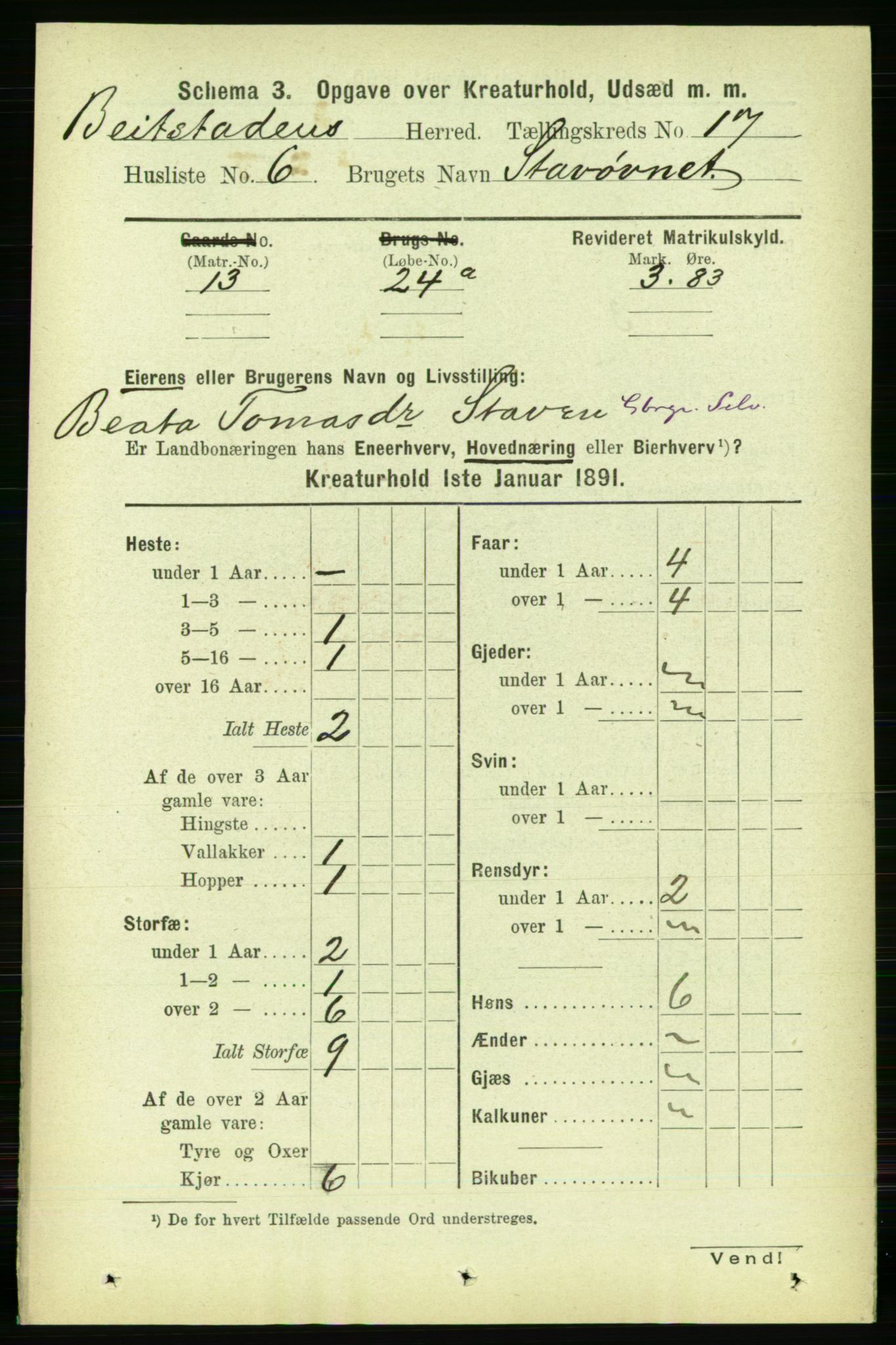 RA, 1891 census for 1727 Beitstad, 1891, p. 6715