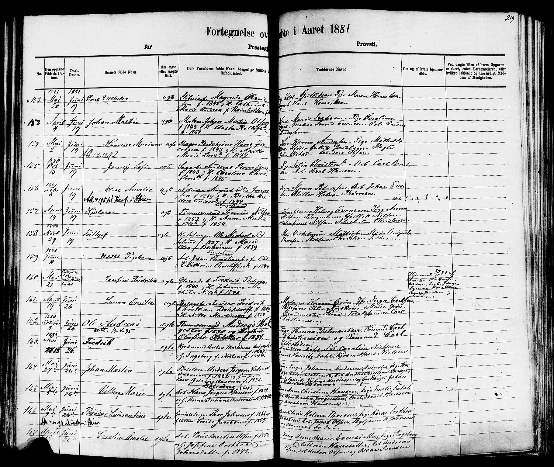 Larvik kirkebøker, AV/SAKO-A-352/F/Fa/L0006: Parish register (official) no. I 6, 1871-1883, p. 219