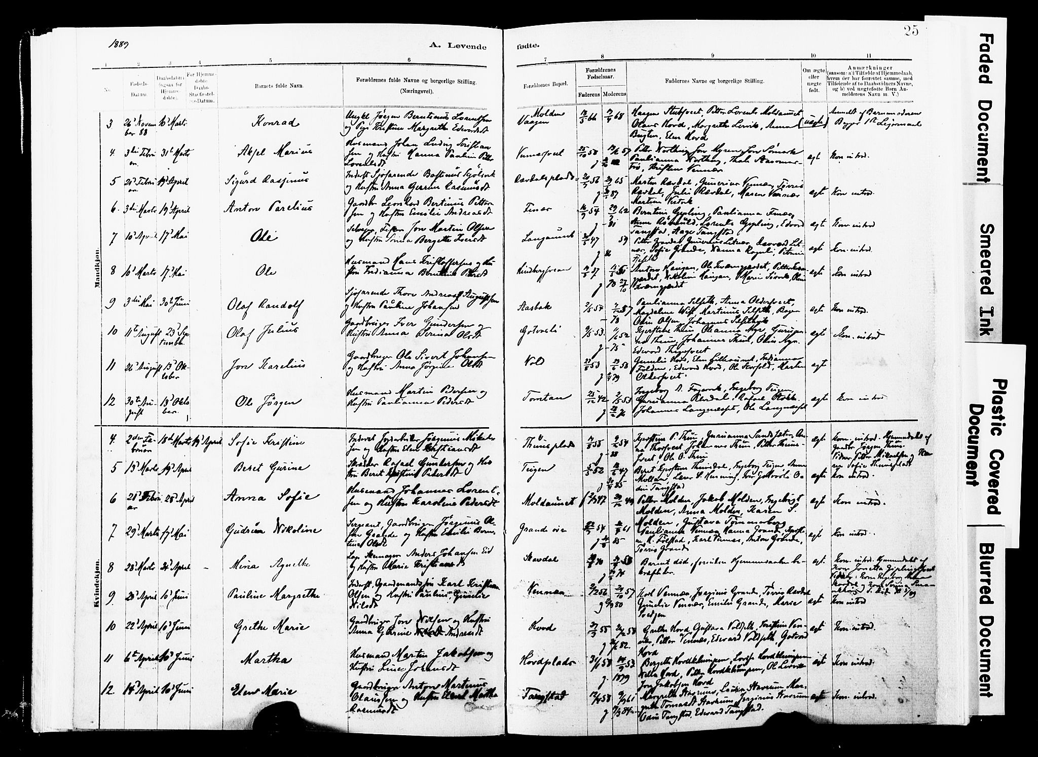 Ministerialprotokoller, klokkerbøker og fødselsregistre - Nord-Trøndelag, SAT/A-1458/744/L0420: Parish register (official) no. 744A04, 1882-1904, p. 25