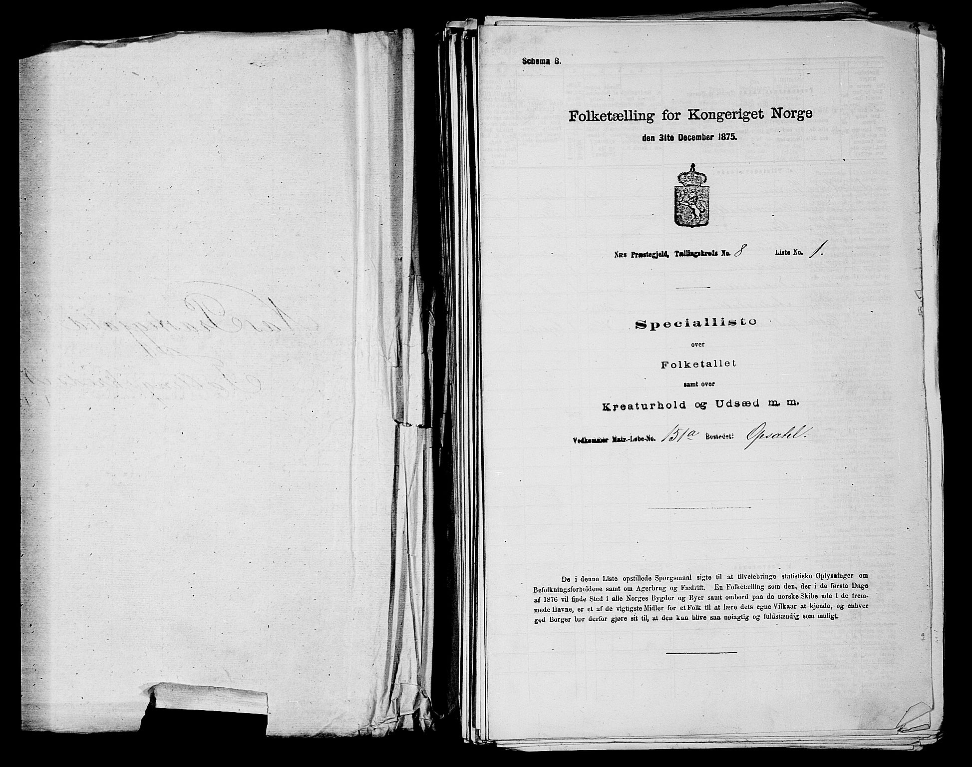 RA, 1875 census for 0236P Nes, 1875, p. 1229