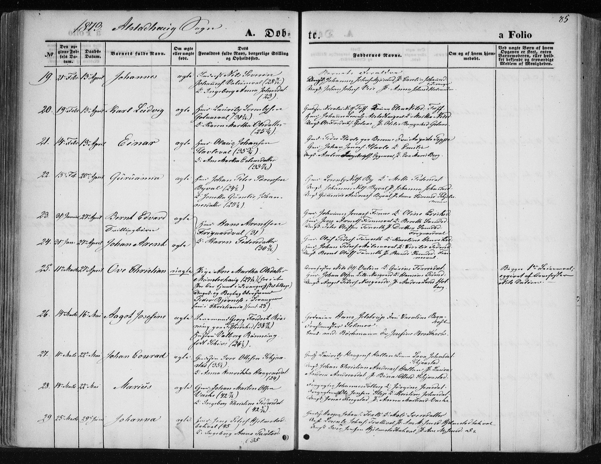 Ministerialprotokoller, klokkerbøker og fødselsregistre - Nord-Trøndelag, AV/SAT-A-1458/717/L0157: Parish register (official) no. 717A08 /1, 1863-1877, p. 85