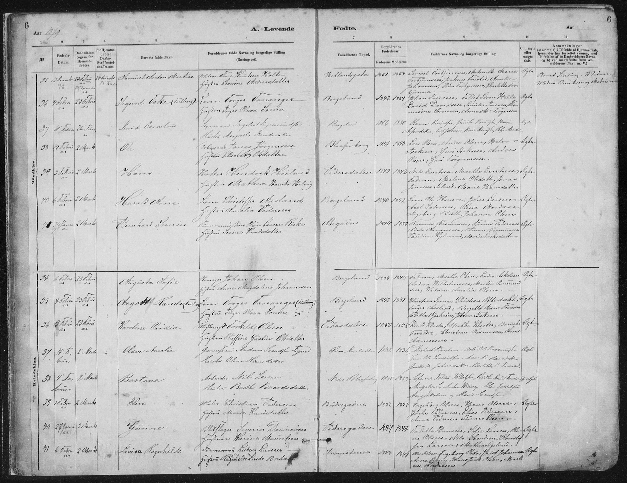 St. Petri sokneprestkontor, AV/SAST-A-101813/001/30/30BA/L0015: Parish register (official) no. A 15, 1879-1888, p. 6