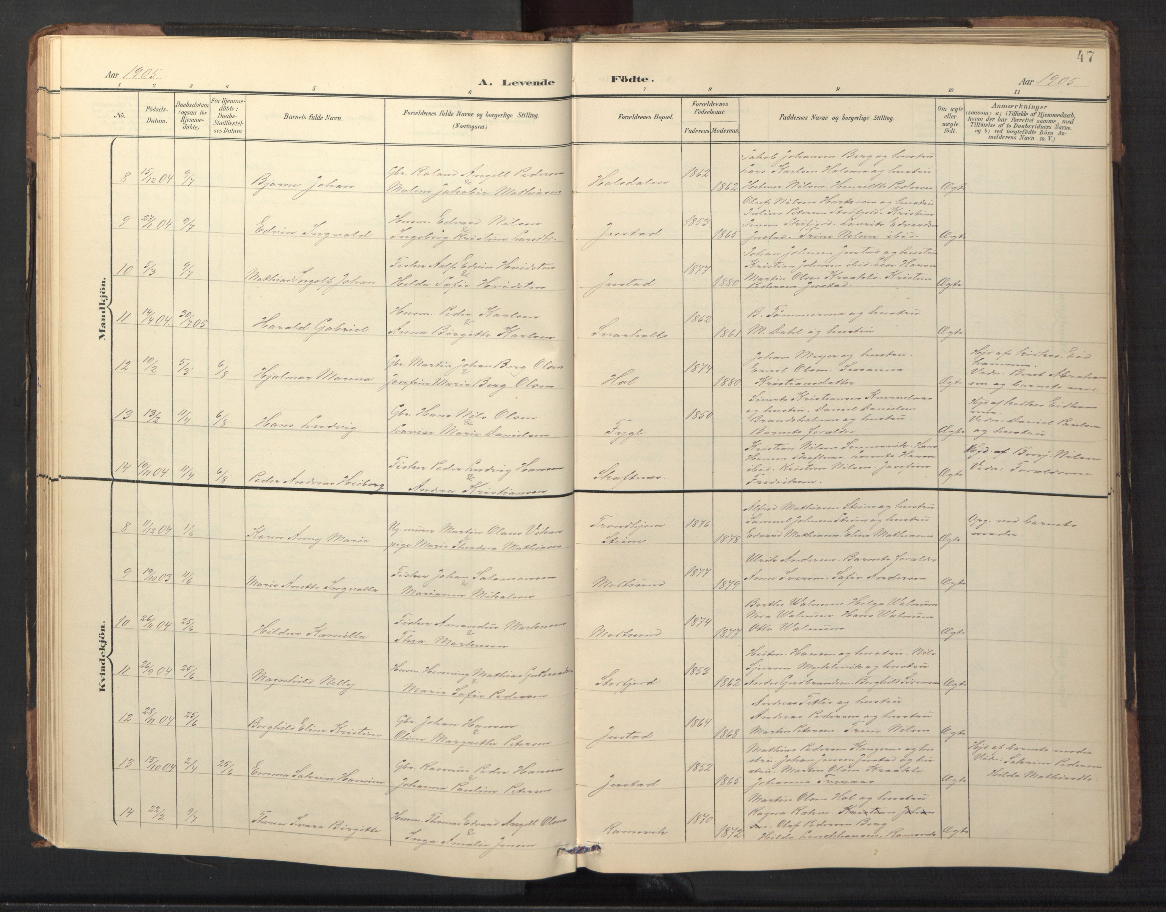 Ministerialprotokoller, klokkerbøker og fødselsregistre - Nordland, AV/SAT-A-1459/882/L1185: Parish register (copy) no. 882C03, 1898-1910, p. 47