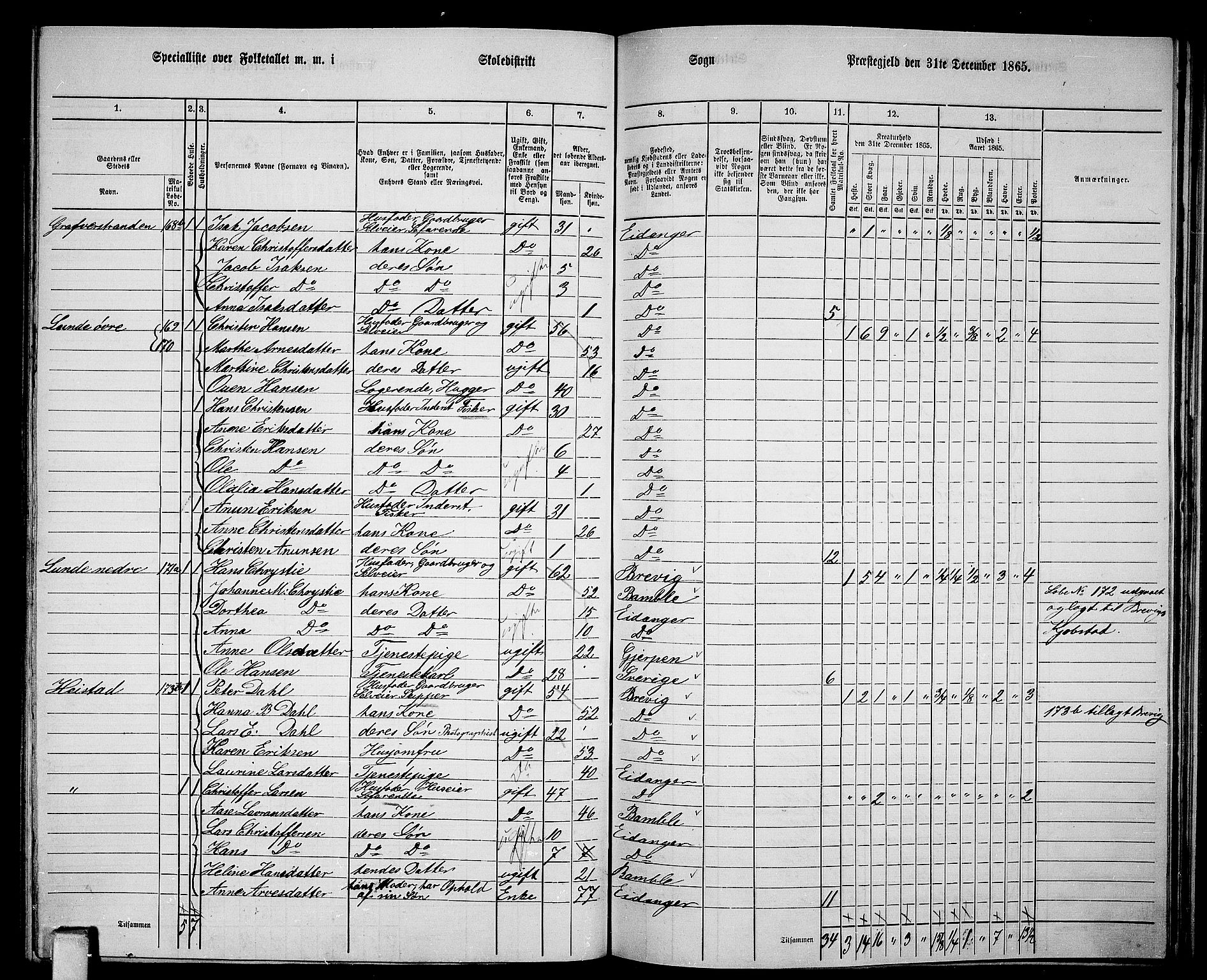 RA, 1865 census for Eidanger, 1865, p. 82