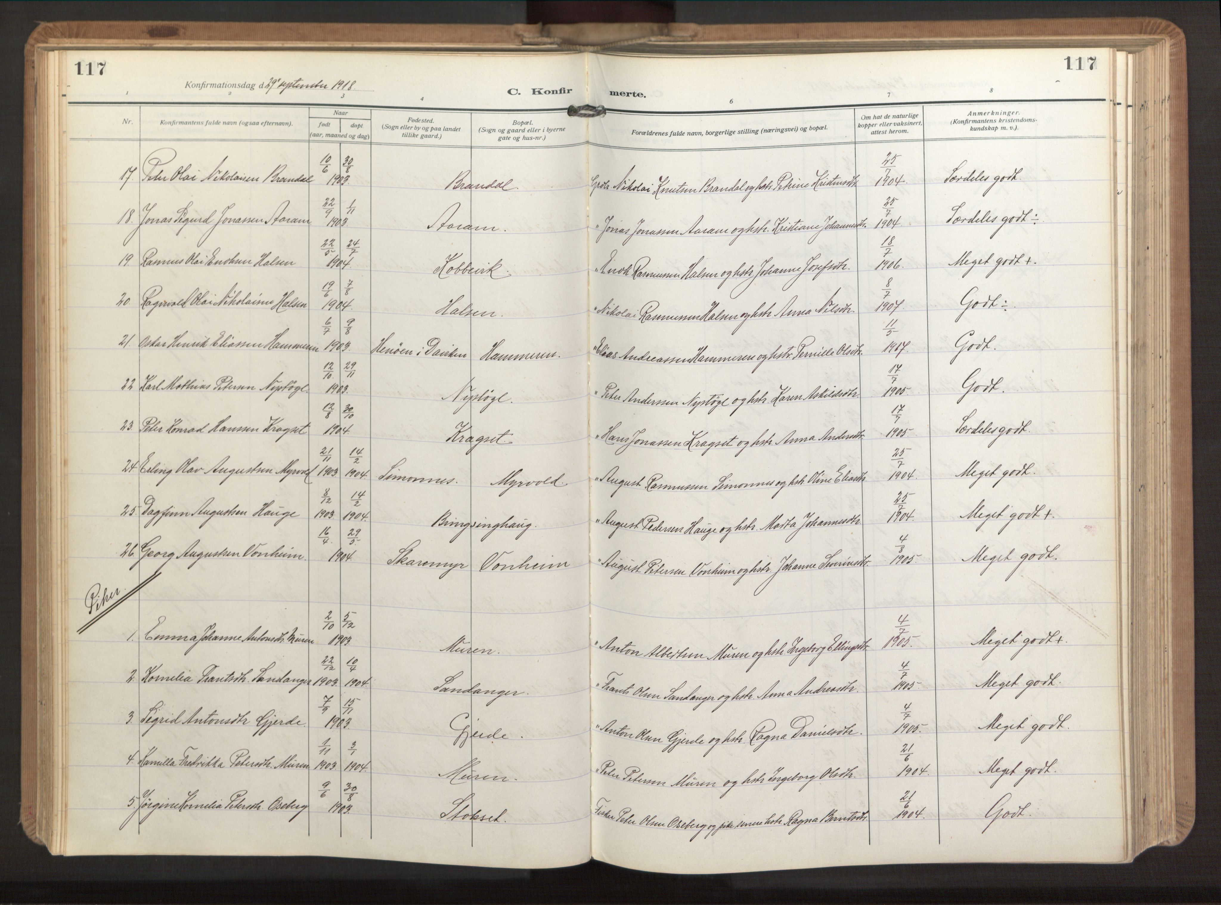 Ministerialprotokoller, klokkerbøker og fødselsregistre - Møre og Romsdal, AV/SAT-A-1454/503/L0044: Parish register (official) no. 503A12, 1918-1931, p. 117