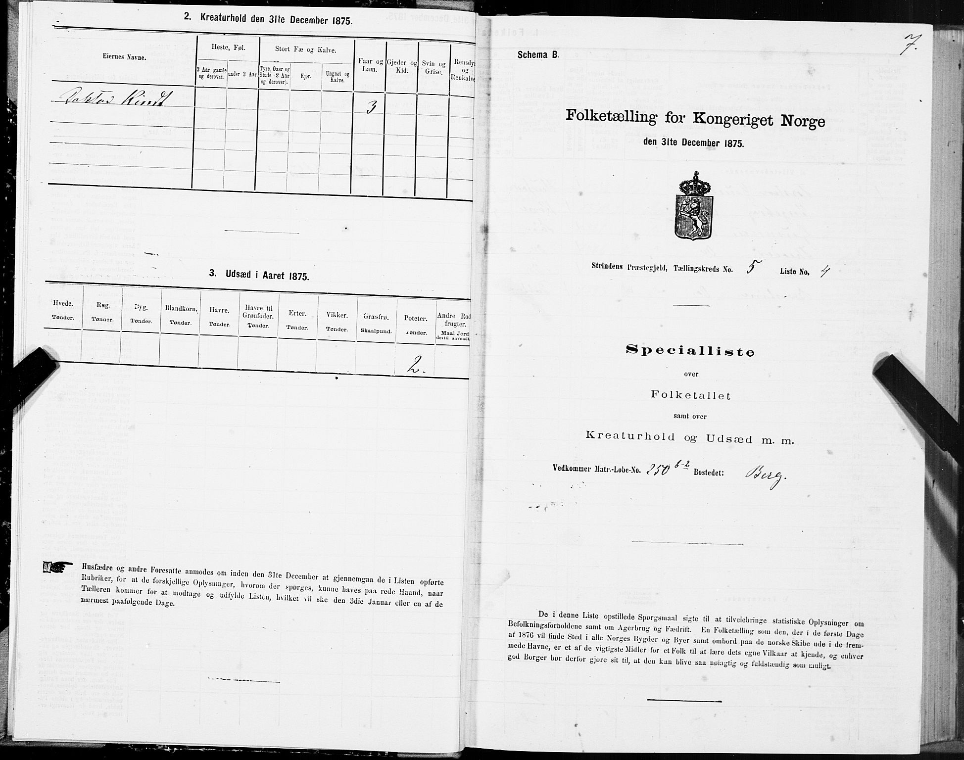 SAT, 1875 census for 1660P Strinda, 1875, p. 3007