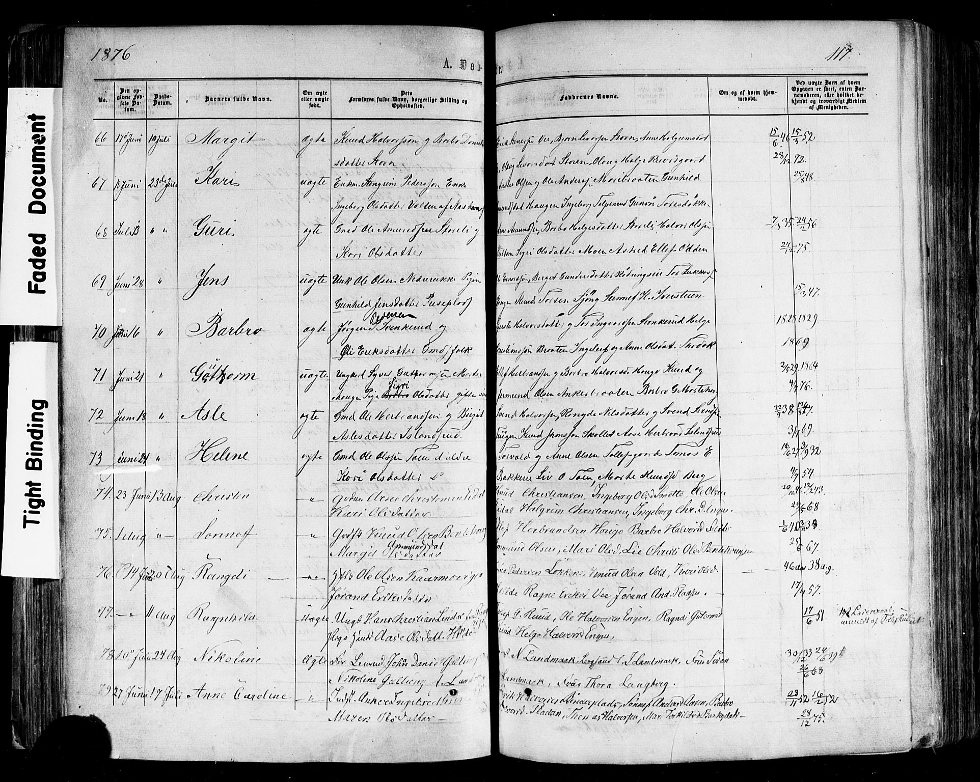 Nes kirkebøker, AV/SAKO-A-236/F/Fa/L0010: Parish register (official) no. 10, 1864-1880, p. 117